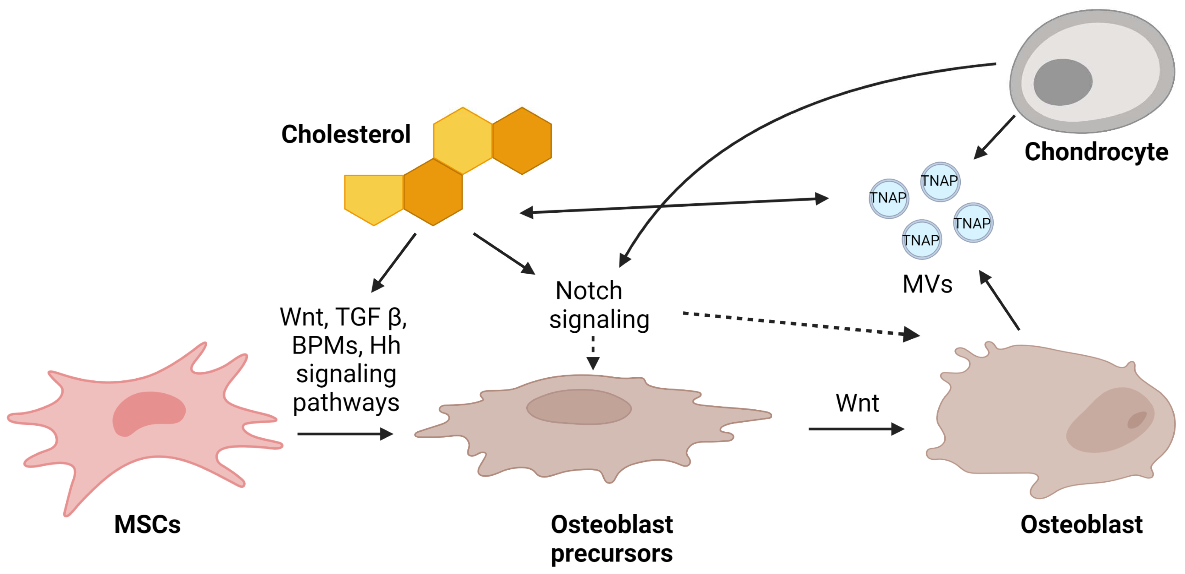 Metabolites 13 00578 g003 Metabolites 13 00578 g003