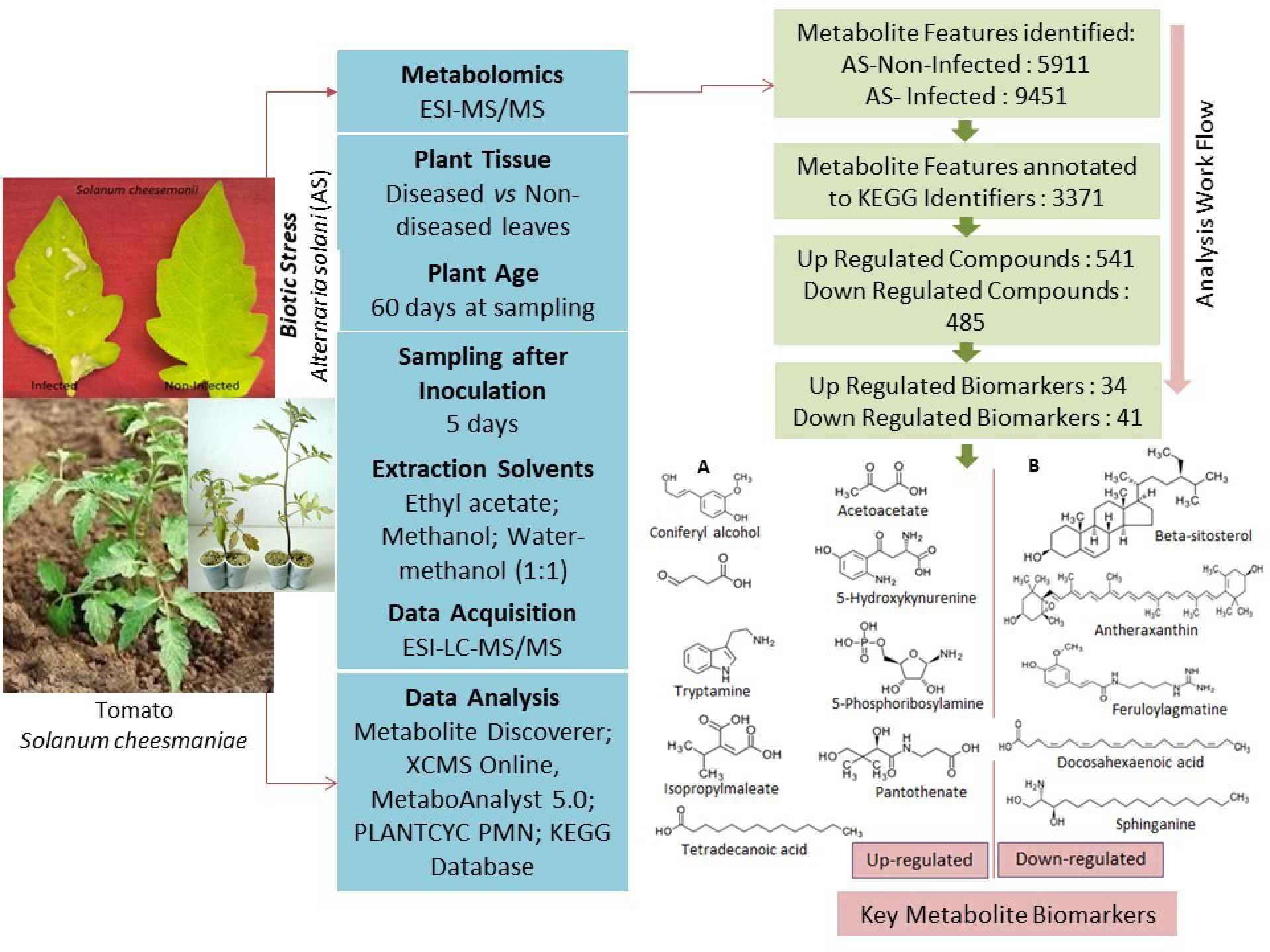 Metabolites 13 00585 g001 Metabolites 13 00585 g001