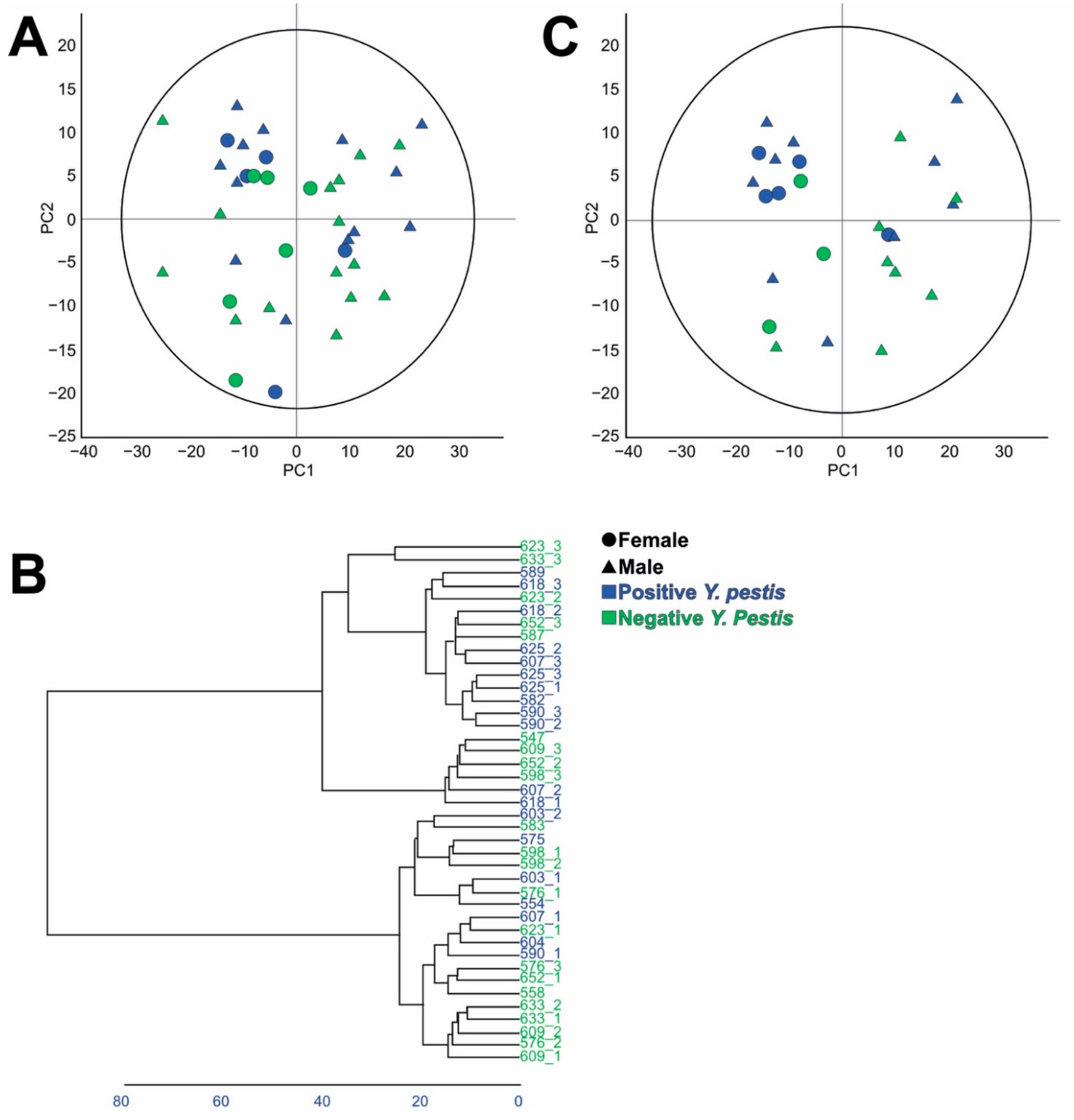 Metabolites 13 00588 g002 Metabolites 13 00588 g002