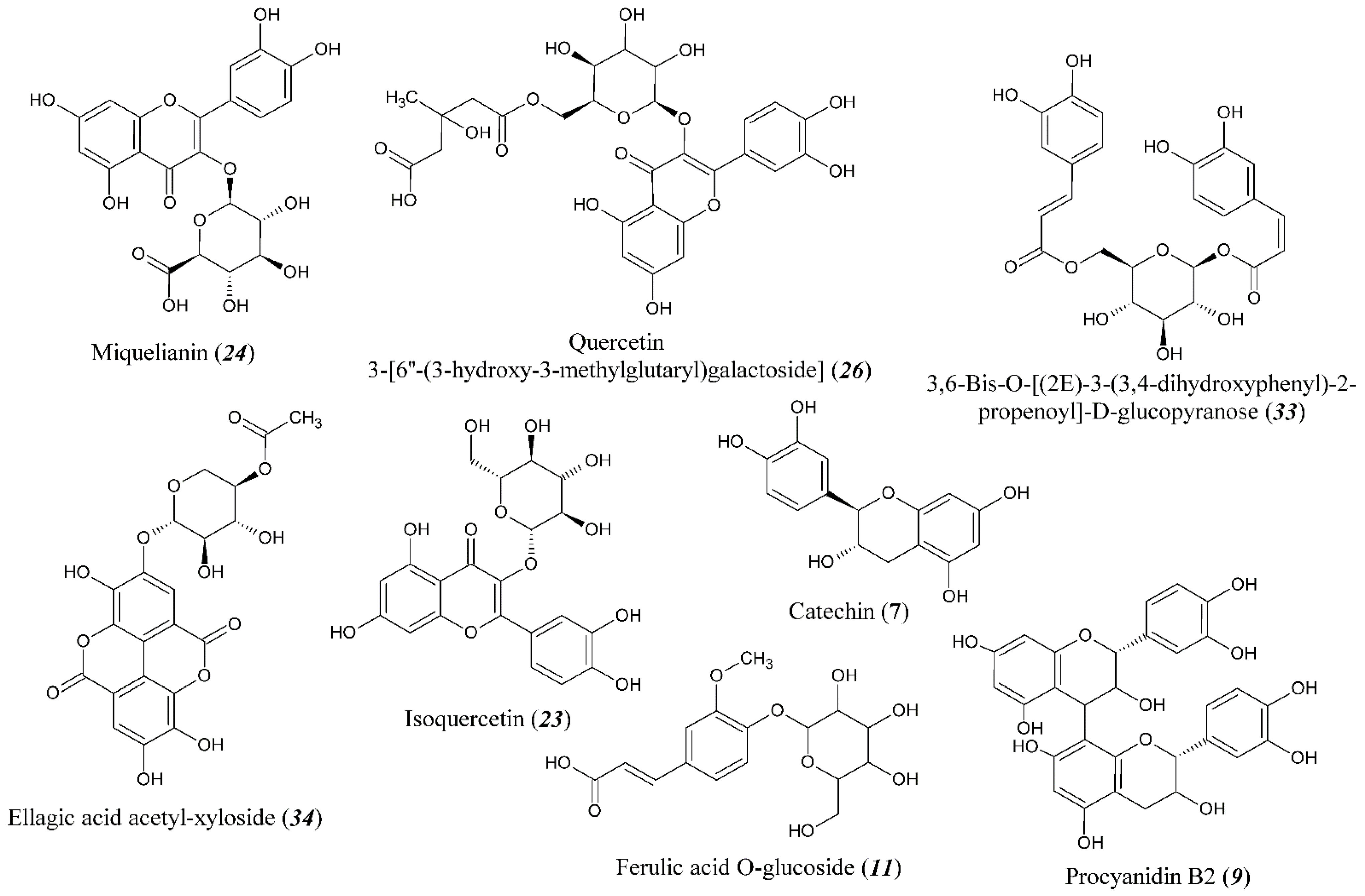 Metabolites 13 00598 g003 Metabolites 13 00598 g003