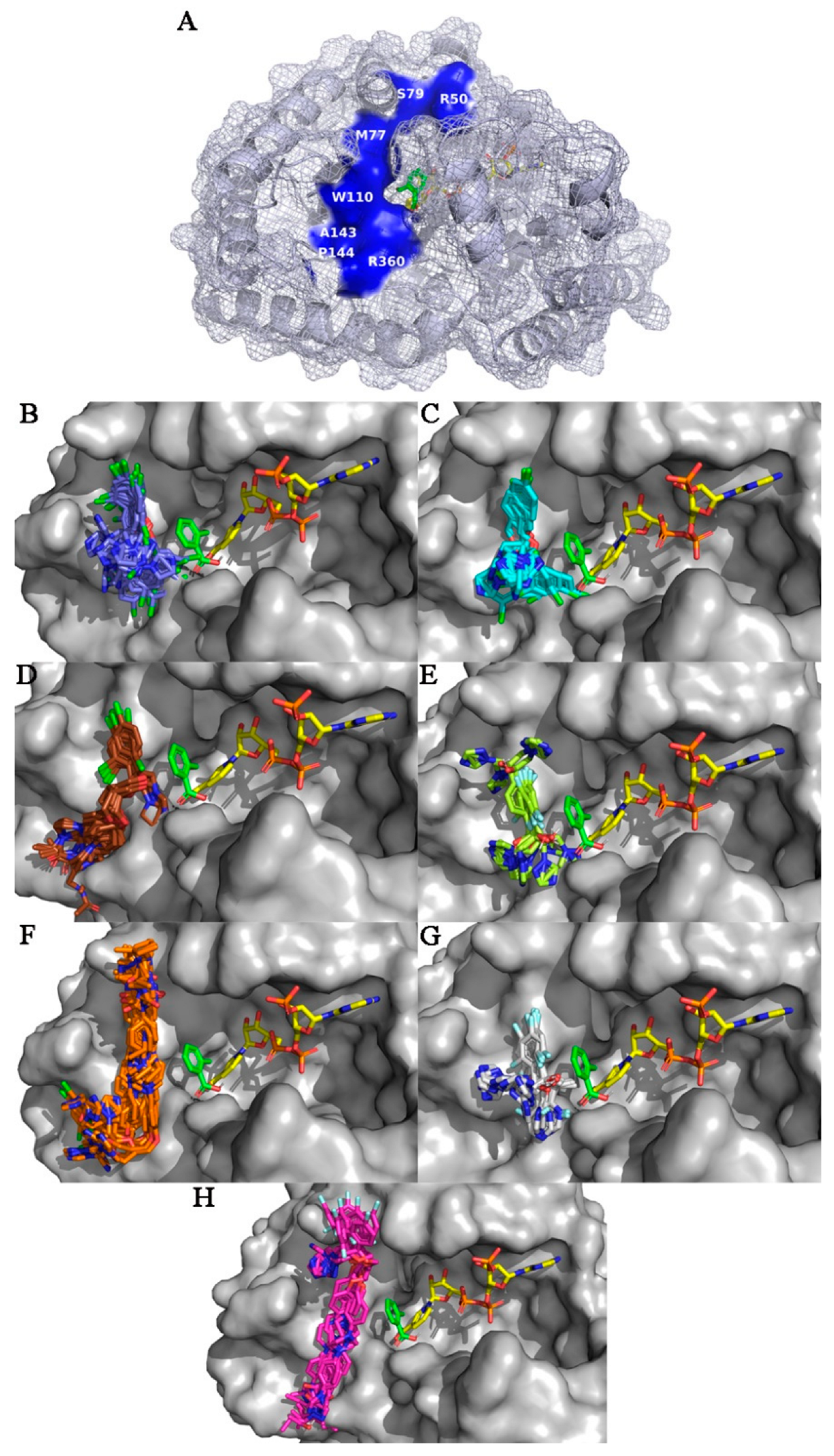 Metabolites 13 00601 g004 Metabolites 13 00601 g004