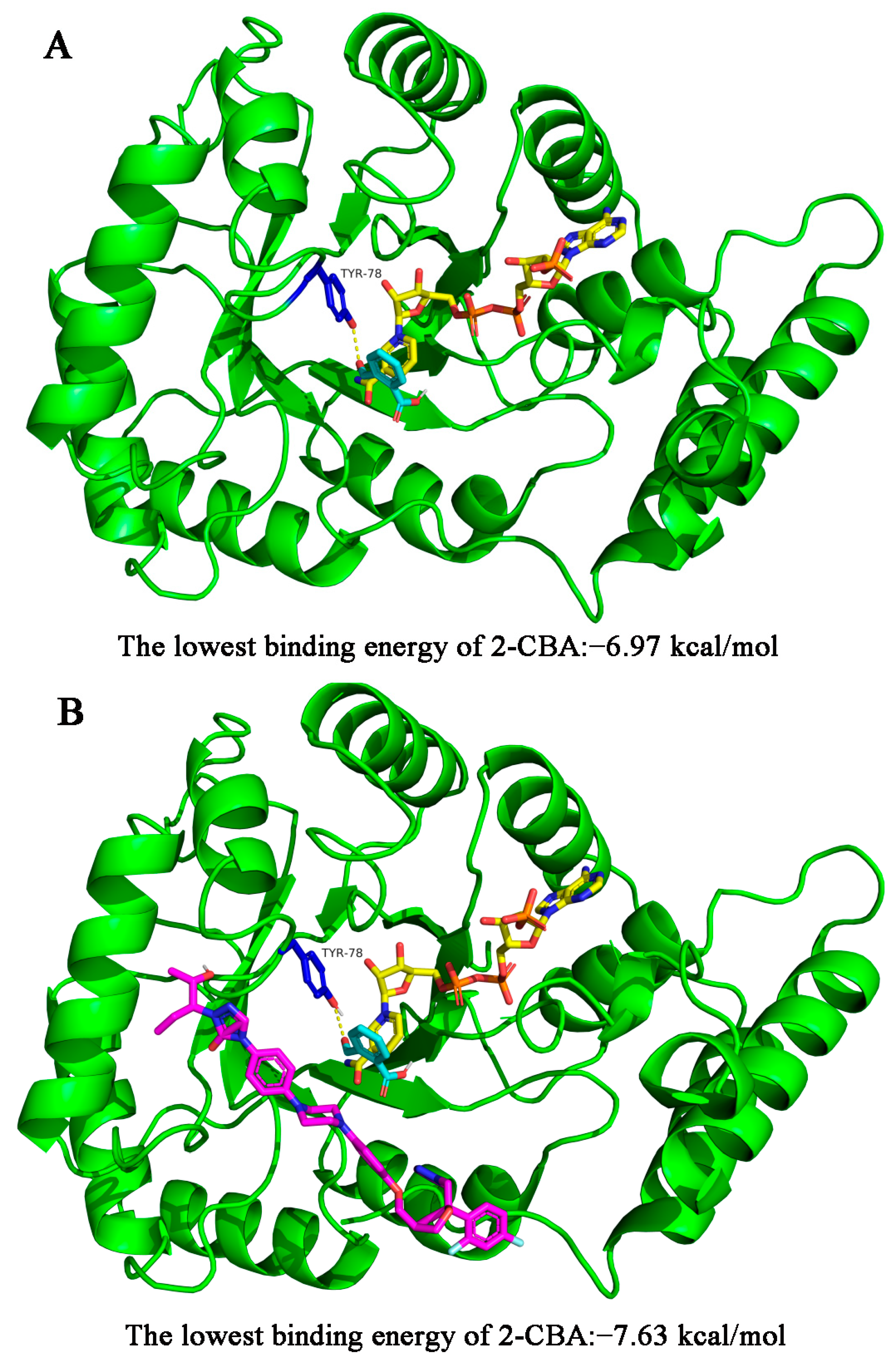 Metabolites 13 00601 g005 Metabolites 13 00601 g005