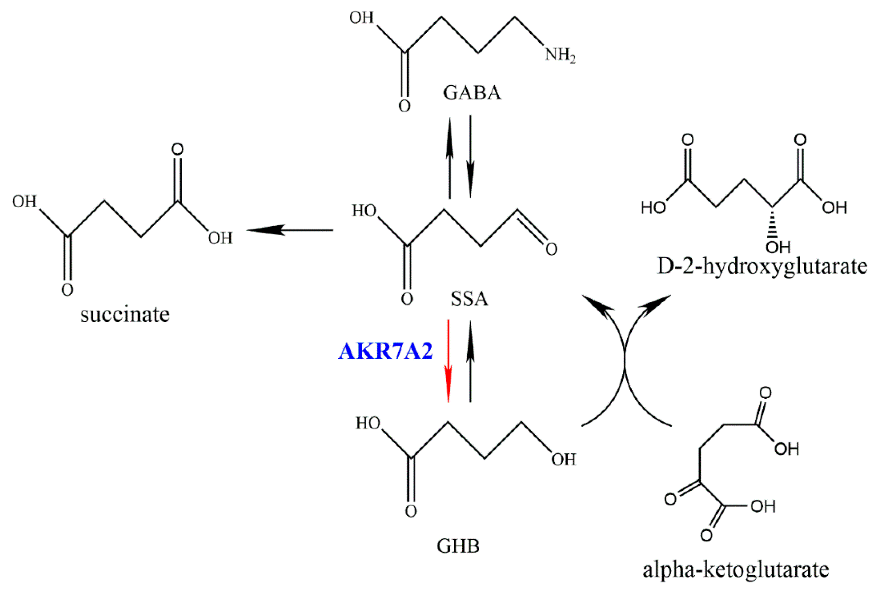 Metabolites 13 00601 sch001 Metabolites 13 00601 sch001