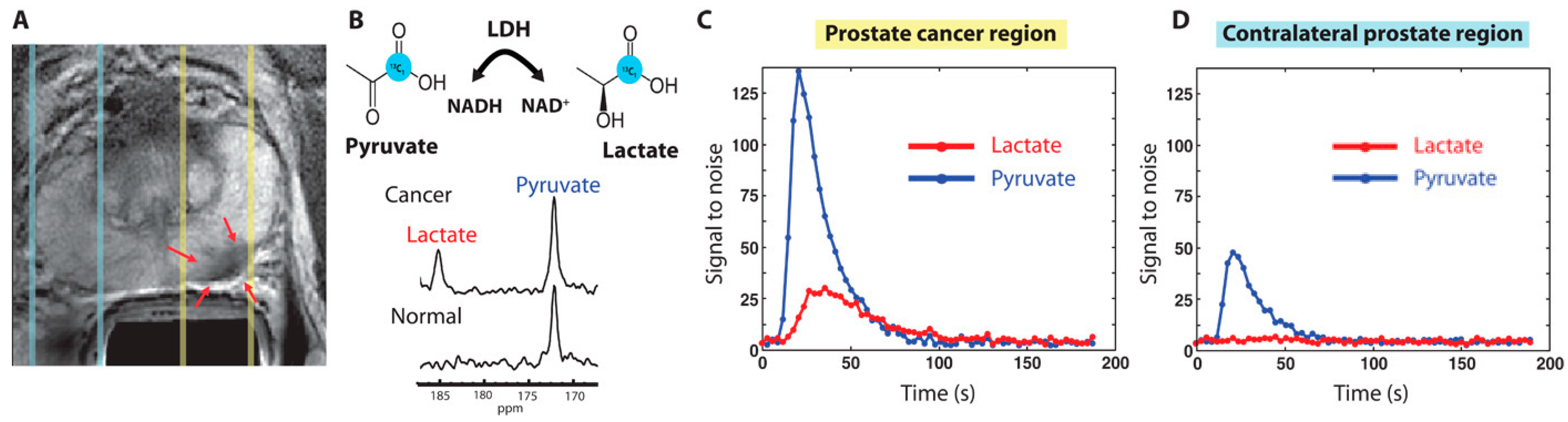 Metabolites 13 00606 g003