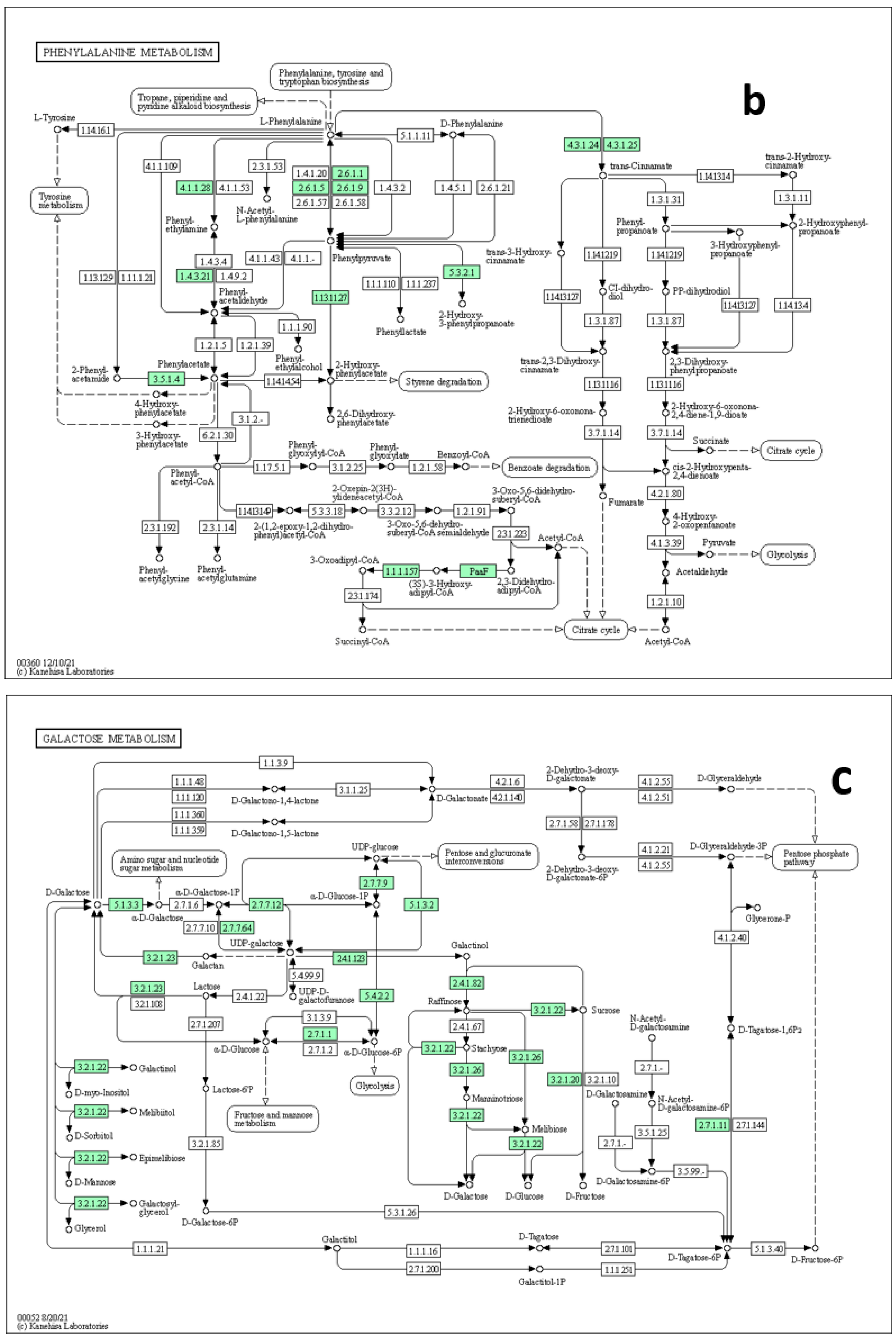 Metabolites 13 00610 g009b Metabolites 13 00610 g009b