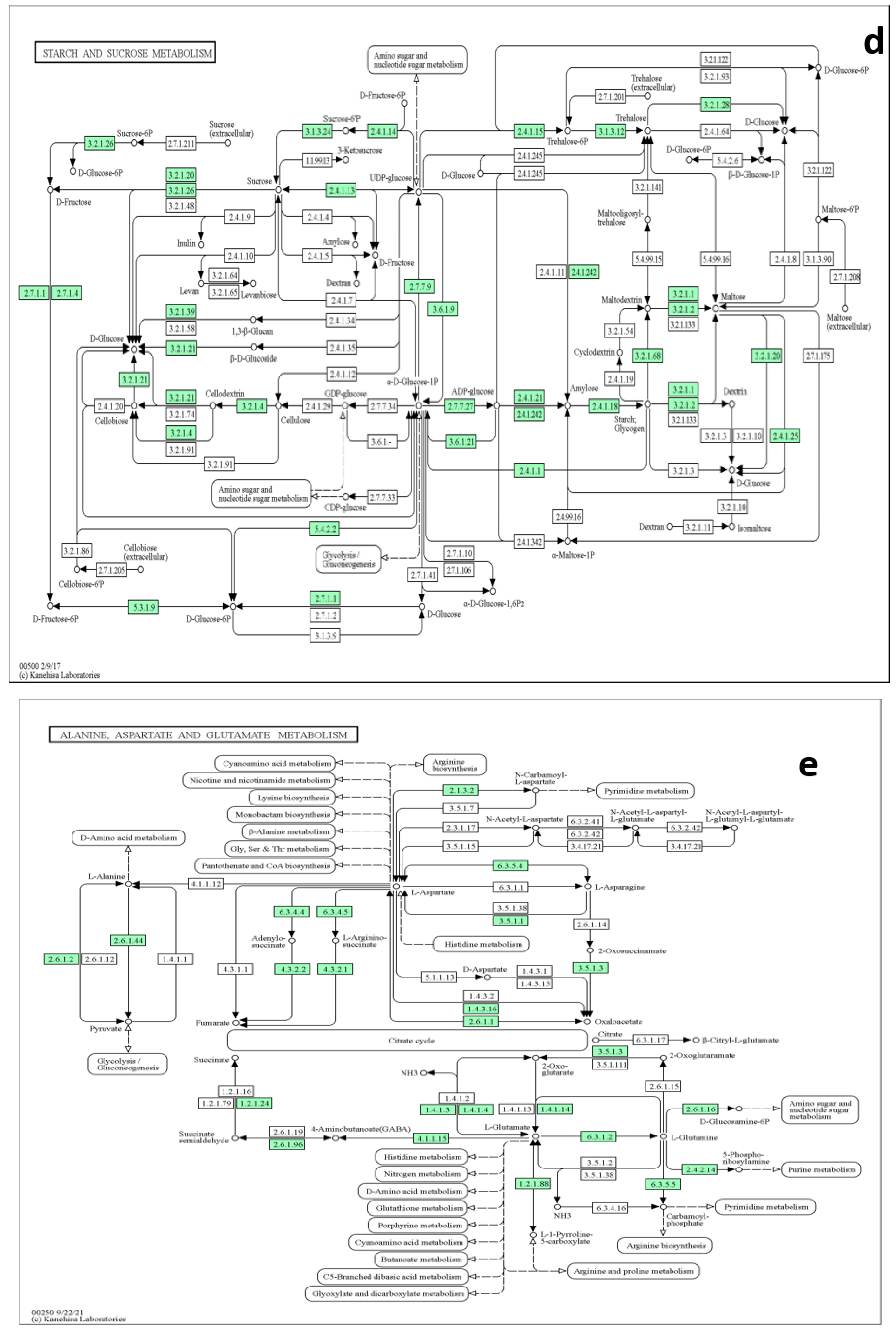 Metabolites 13 00610 g009c Metabolites 13 00610 g009c
