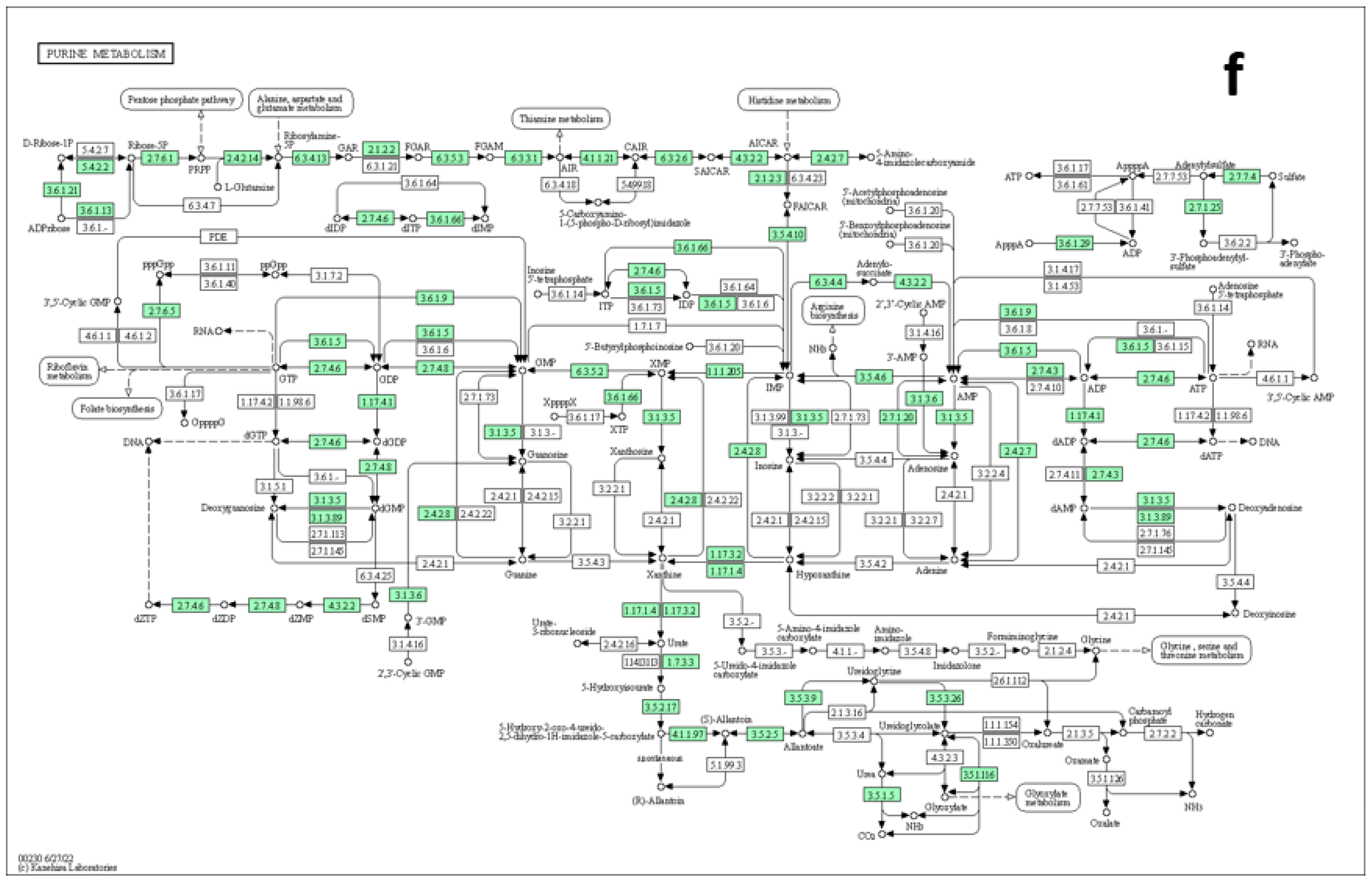 Metabolites 13 00610 g009d Metabolites 13 00610 g009d