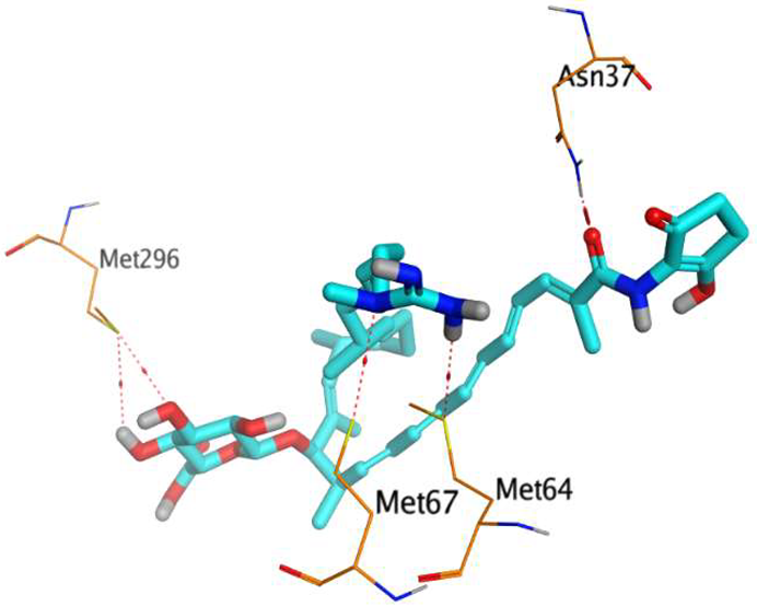 Metabolites 13 00620 i001 Metabolites 13 00620 i001
