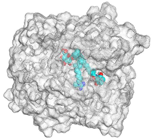 Metabolites 13 00620 i002 Metabolites 13 00620 i002