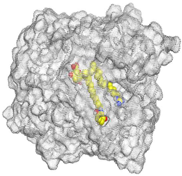 Metabolites 13 00620 i006 Metabolites 13 00620 i006