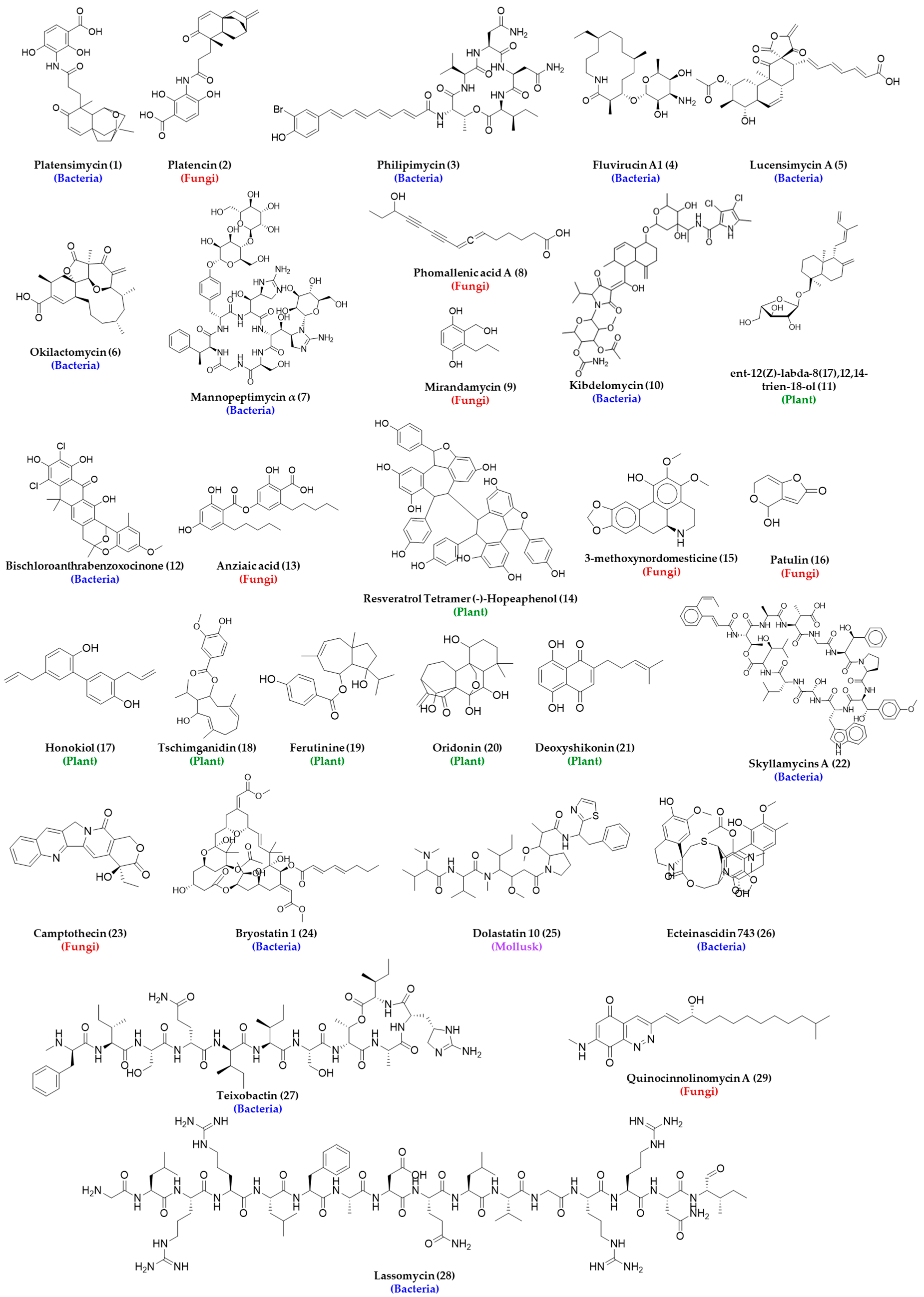 Metabolites 13 00625 g003 Metabolites 13 00625 g003