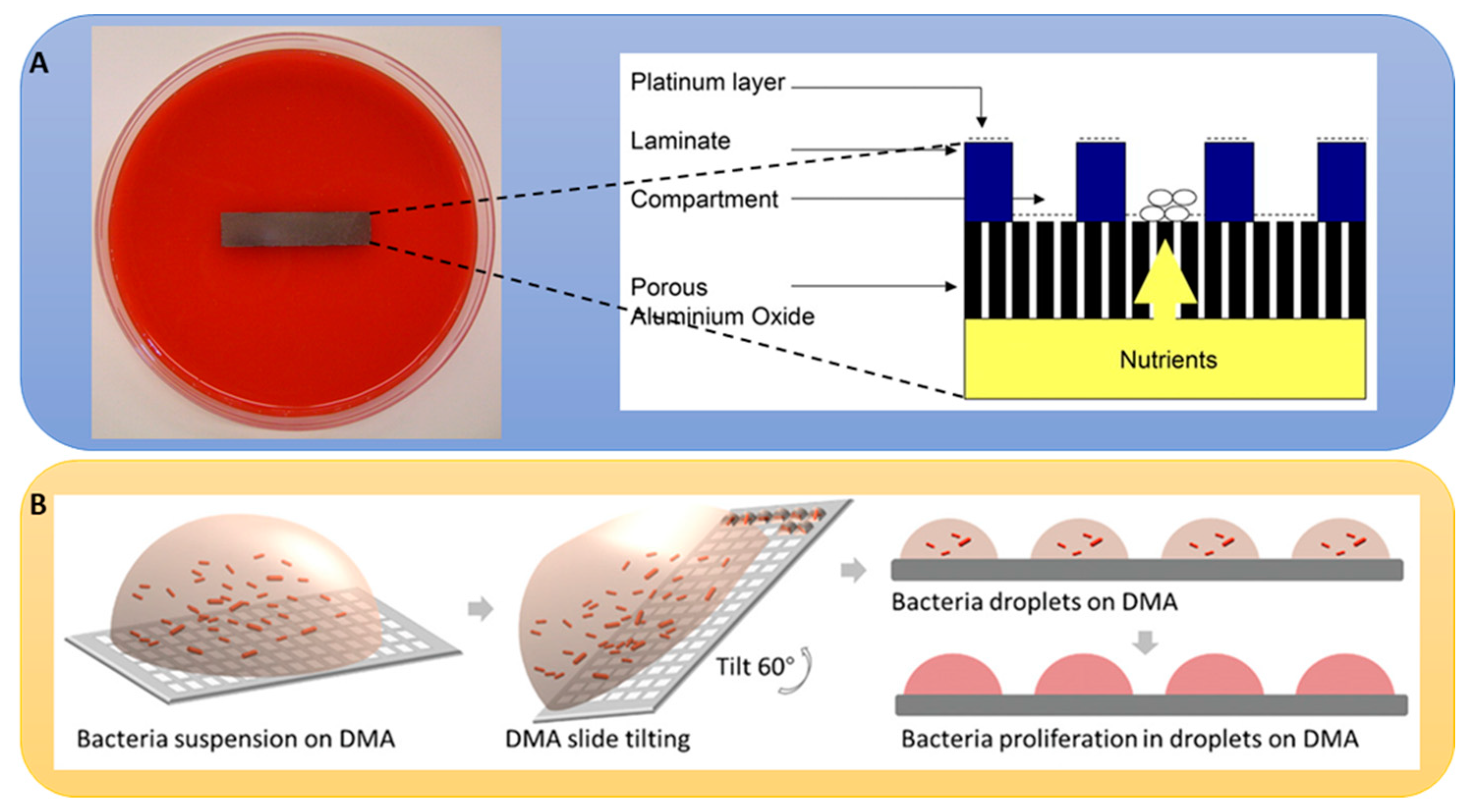 Metabolites 13 00625 g006 Metabolites 13 00625 g006