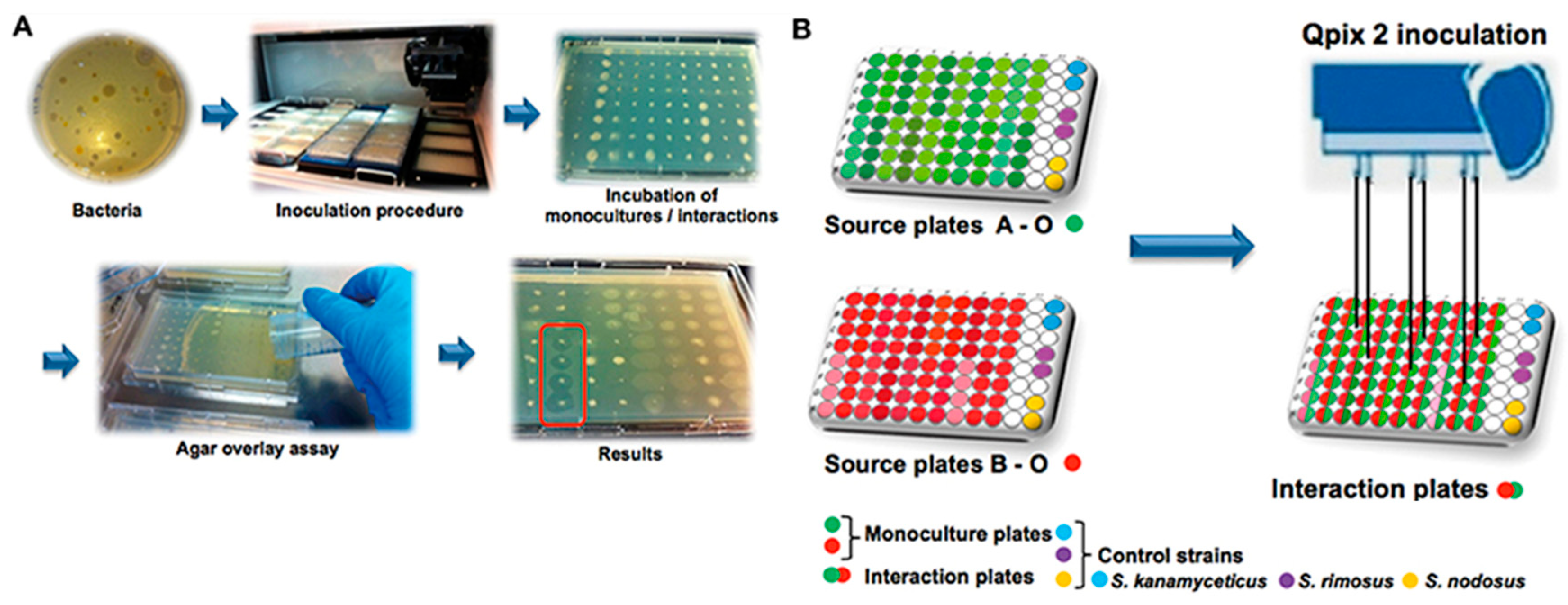 Metabolites 13 00625 g007 Metabolites 13 00625 g007