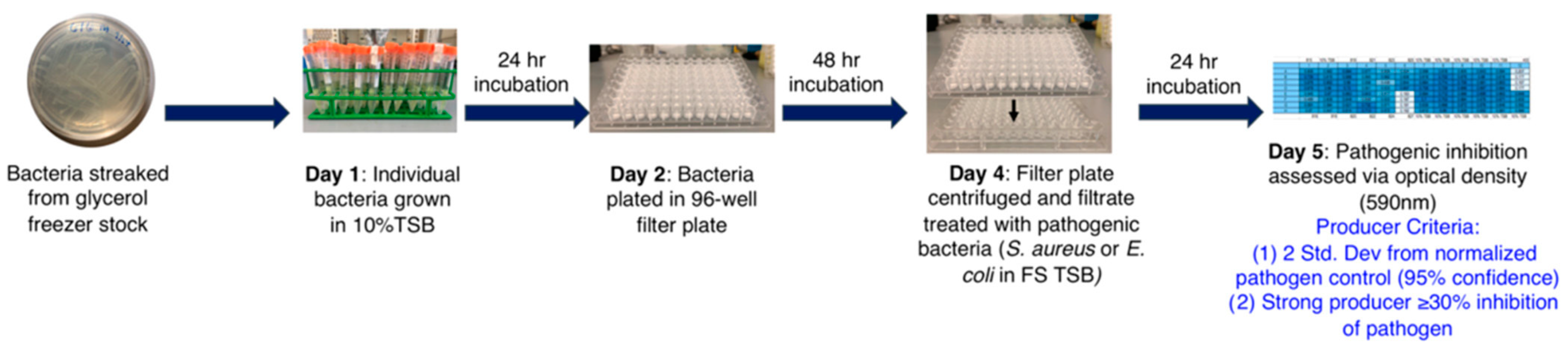 Metabolites 13 00625 g008 Metabolites 13 00625 g008