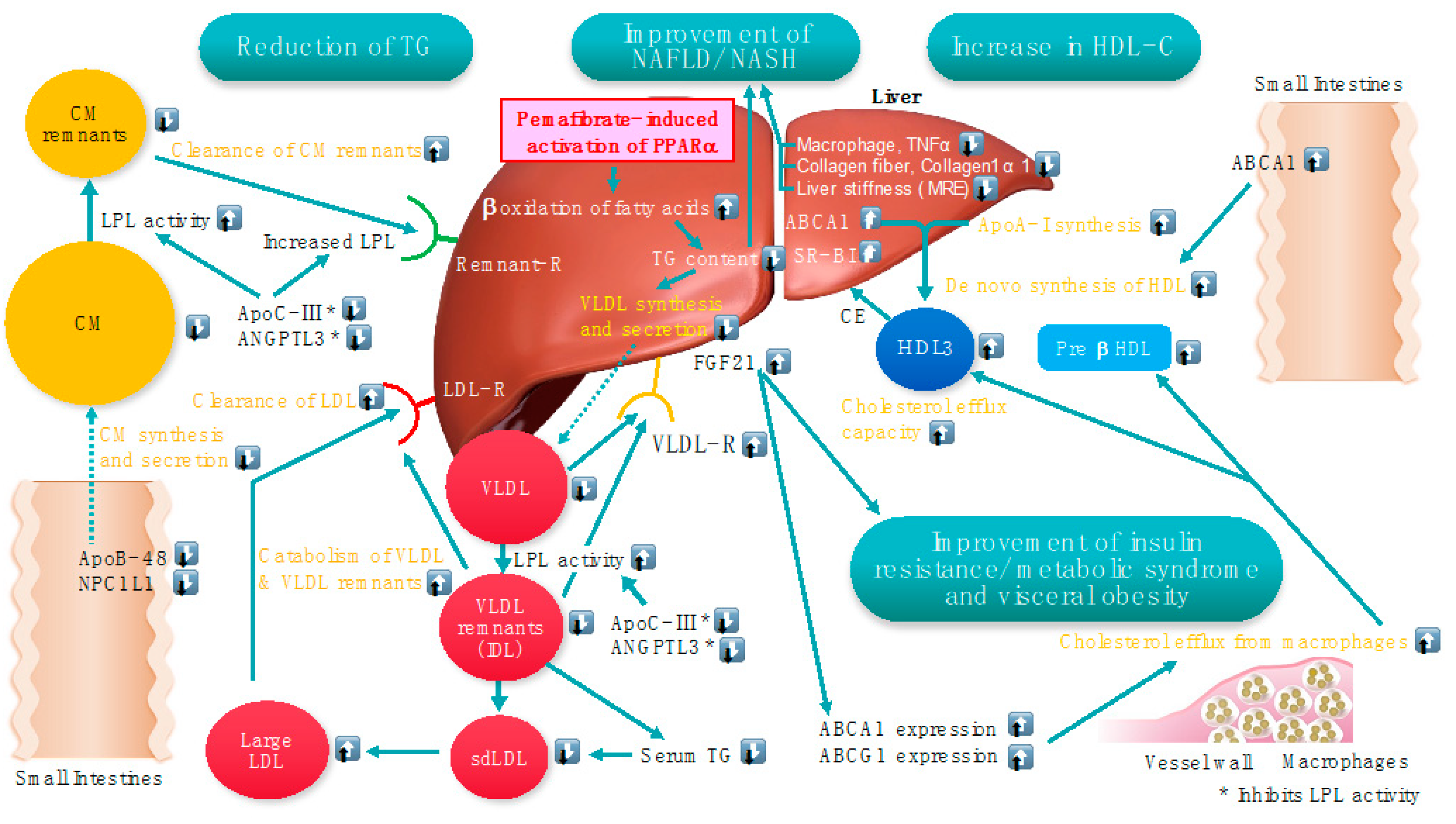 Metabolites 13 00626 g002