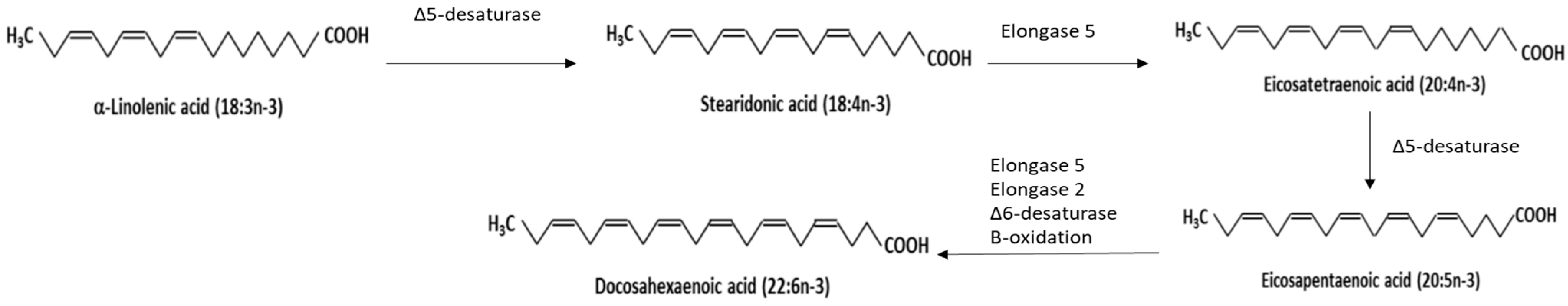 Metabolites Free FullText Potential Benefits of Omega3