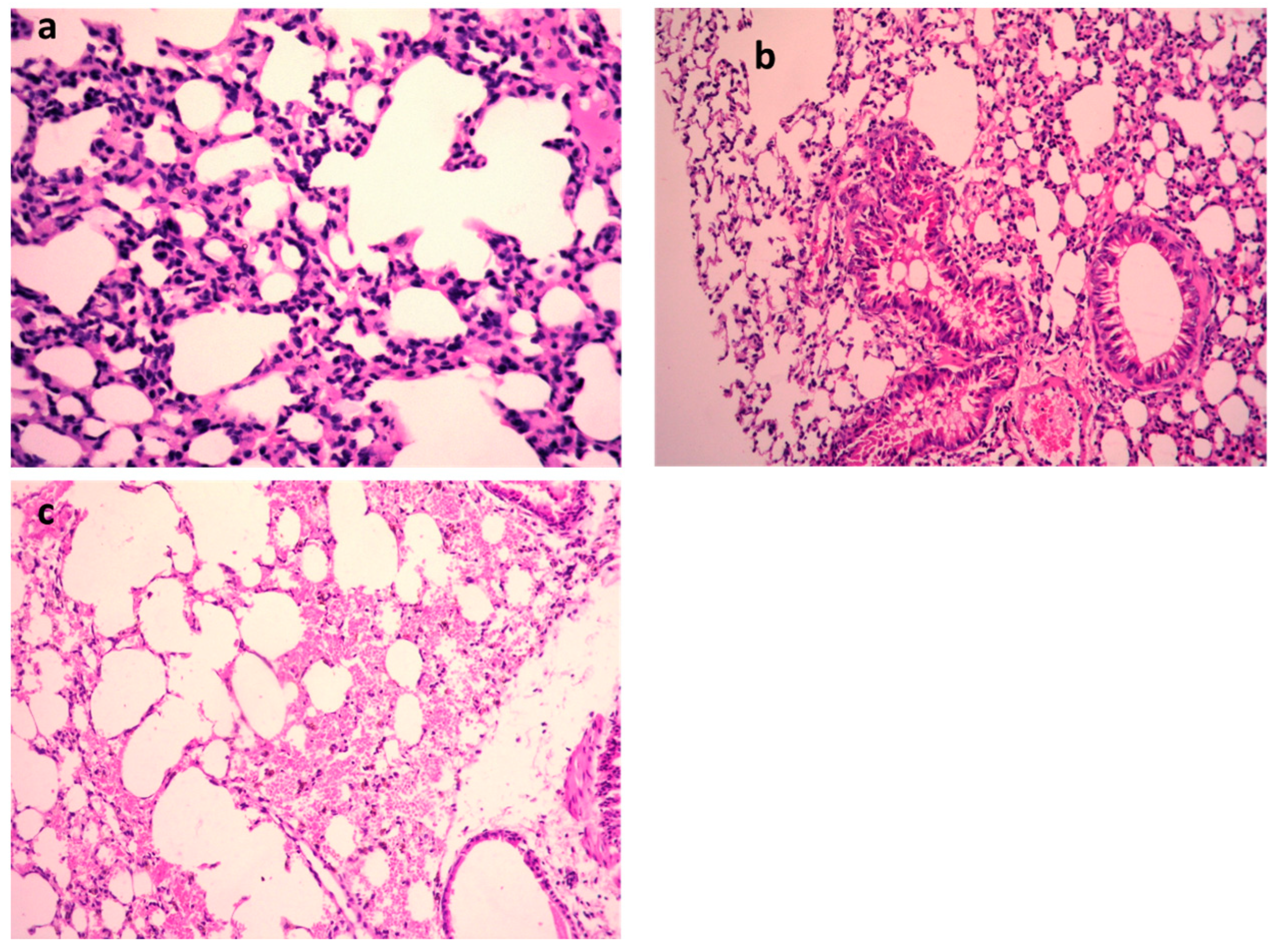 Metabolites 13 00643 g004