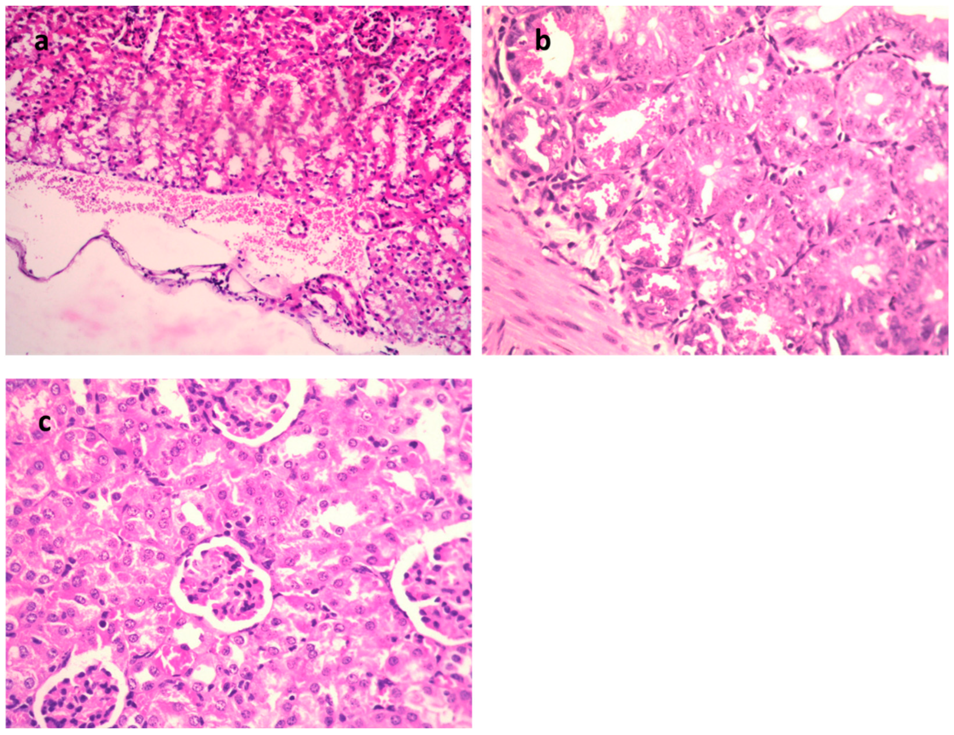 Metabolites 13 00643 g005