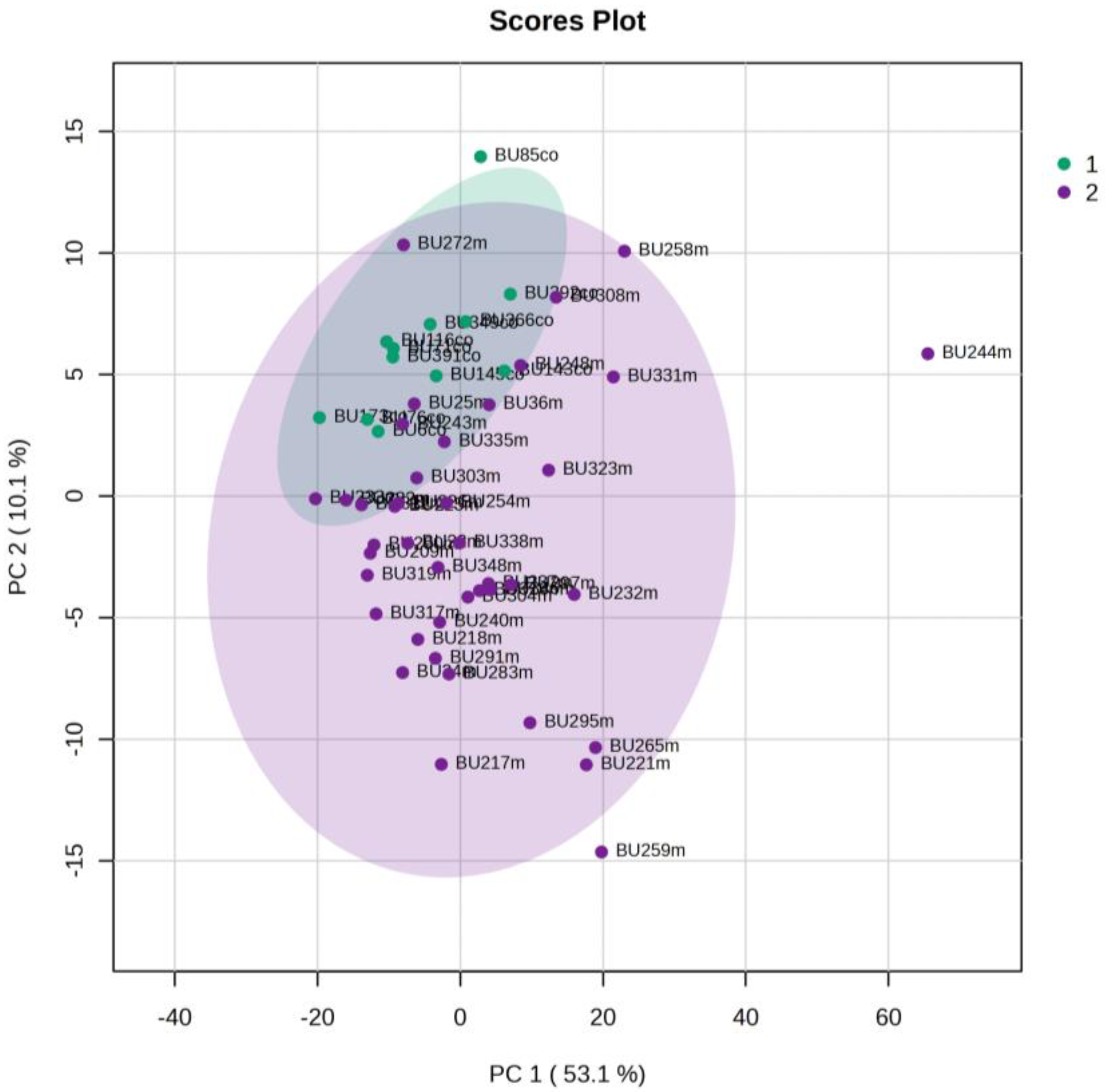 Metabolites 13 00644 g003 Metabolites 13 00644 g003