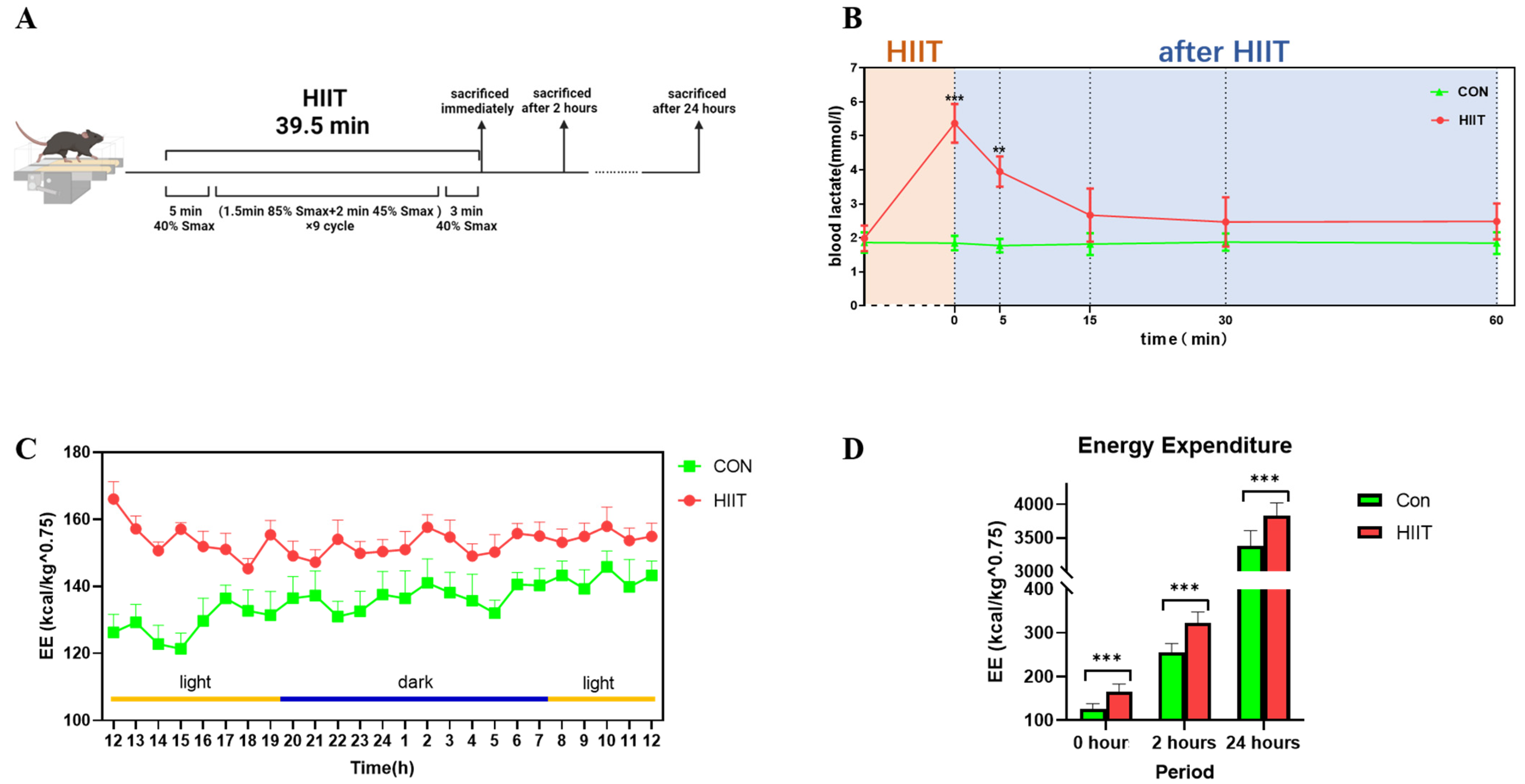 Metabolites 13 00647 g001 Metabolites 13 00647 g001