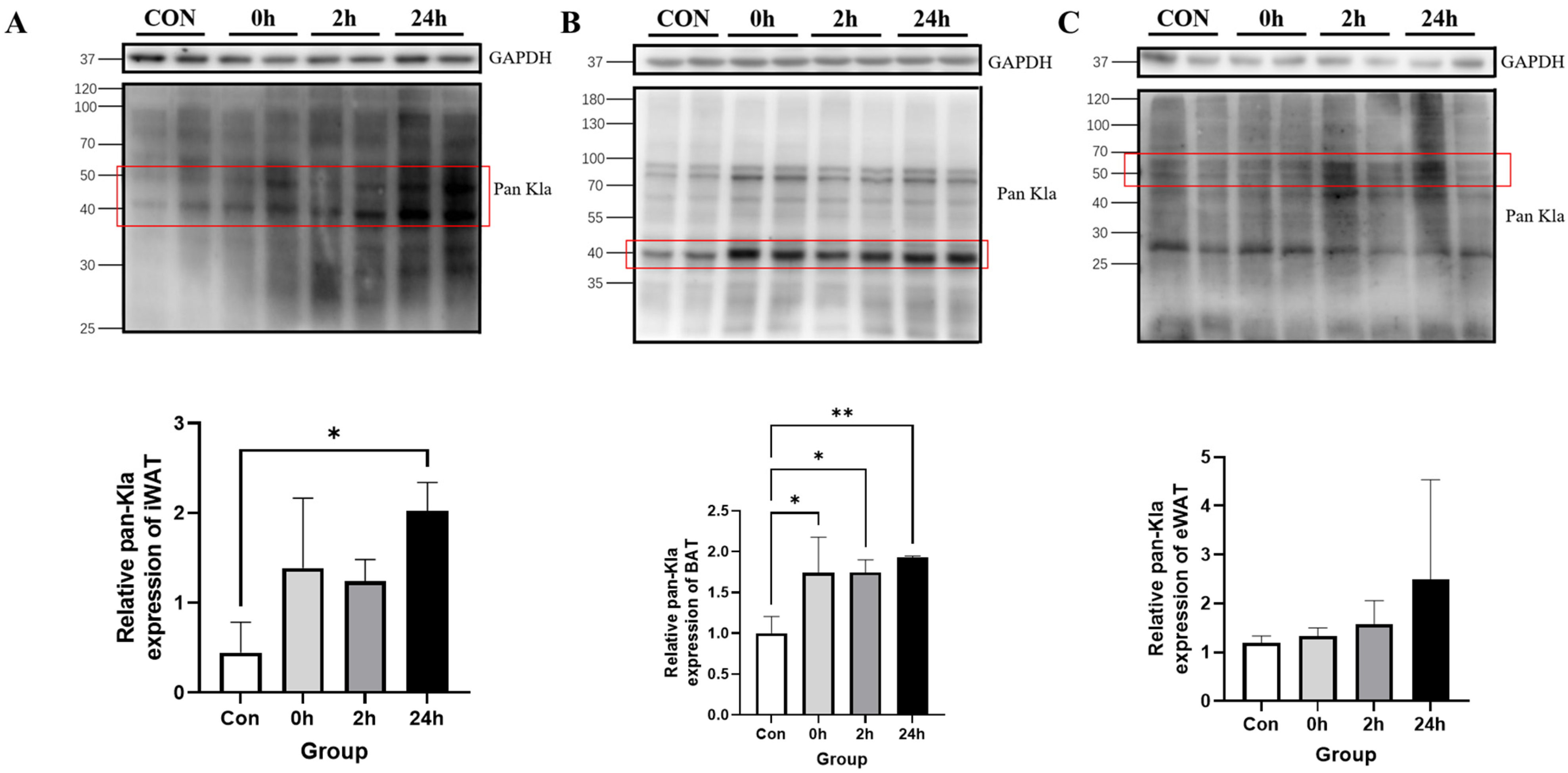 Metabolites 13 00647 g002 Metabolites 13 00647 g002
