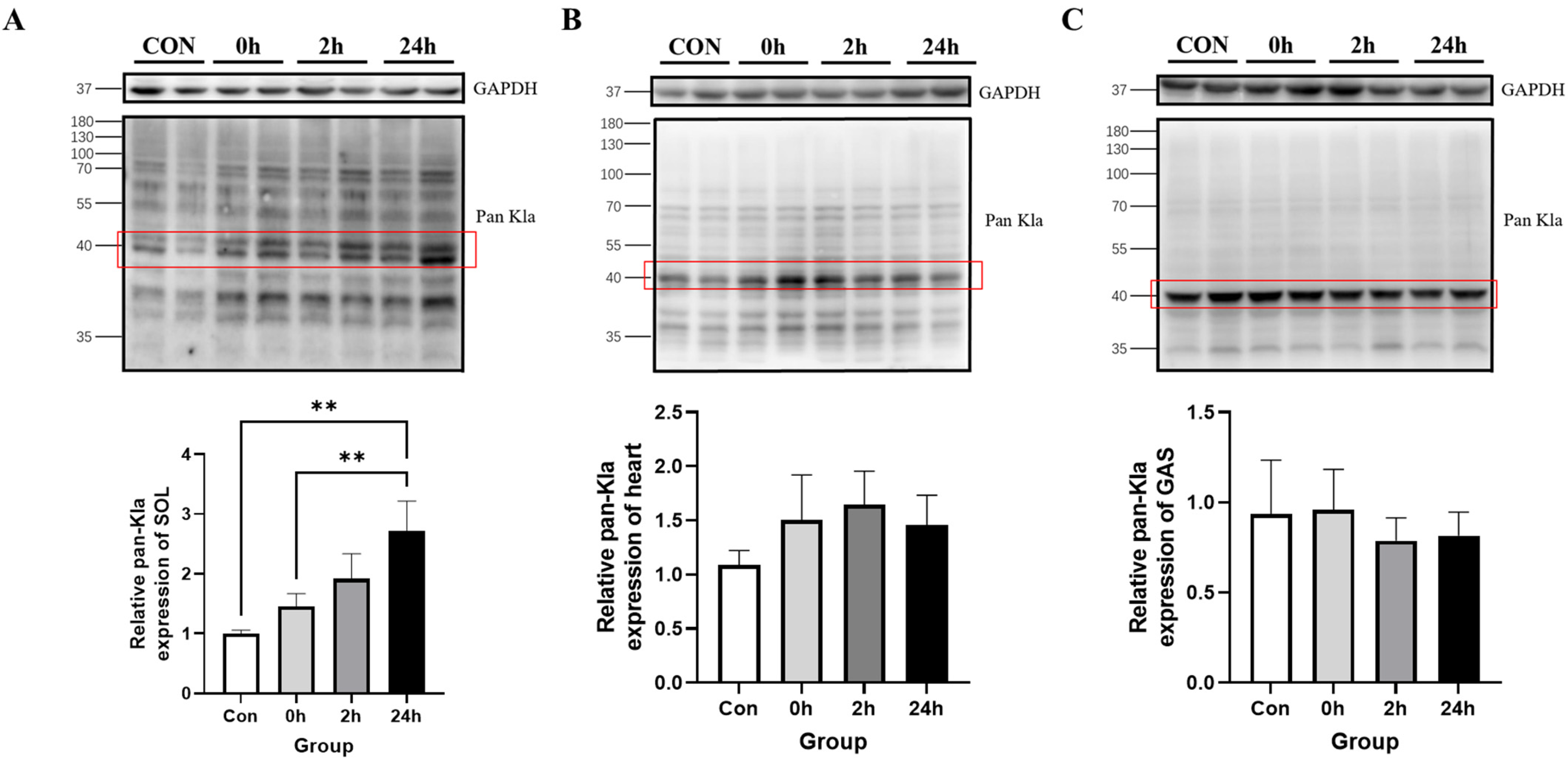 Metabolites 13 00647 g003 Metabolites 13 00647 g003