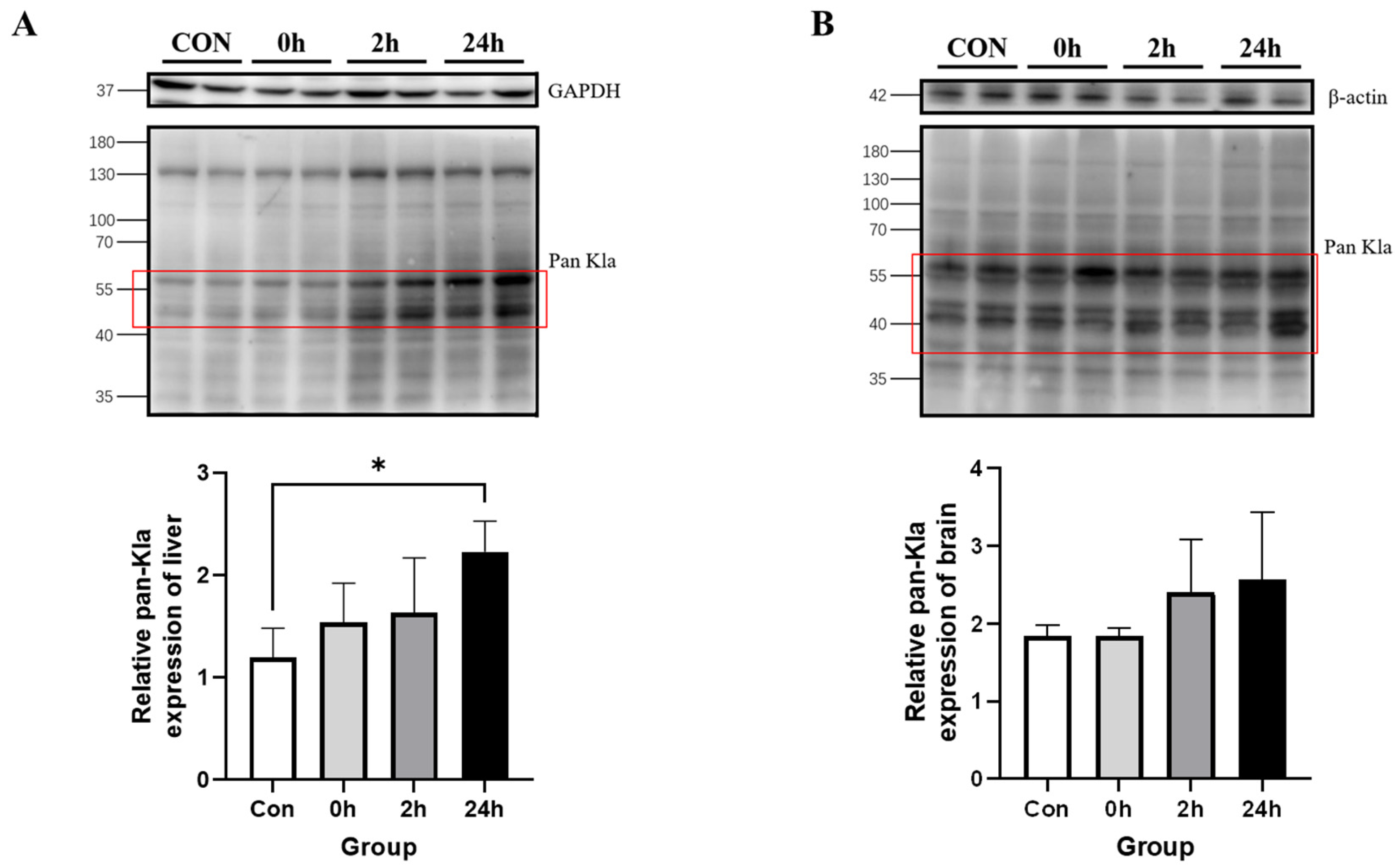 Metabolites 13 00647 g004 Metabolites 13 00647 g004