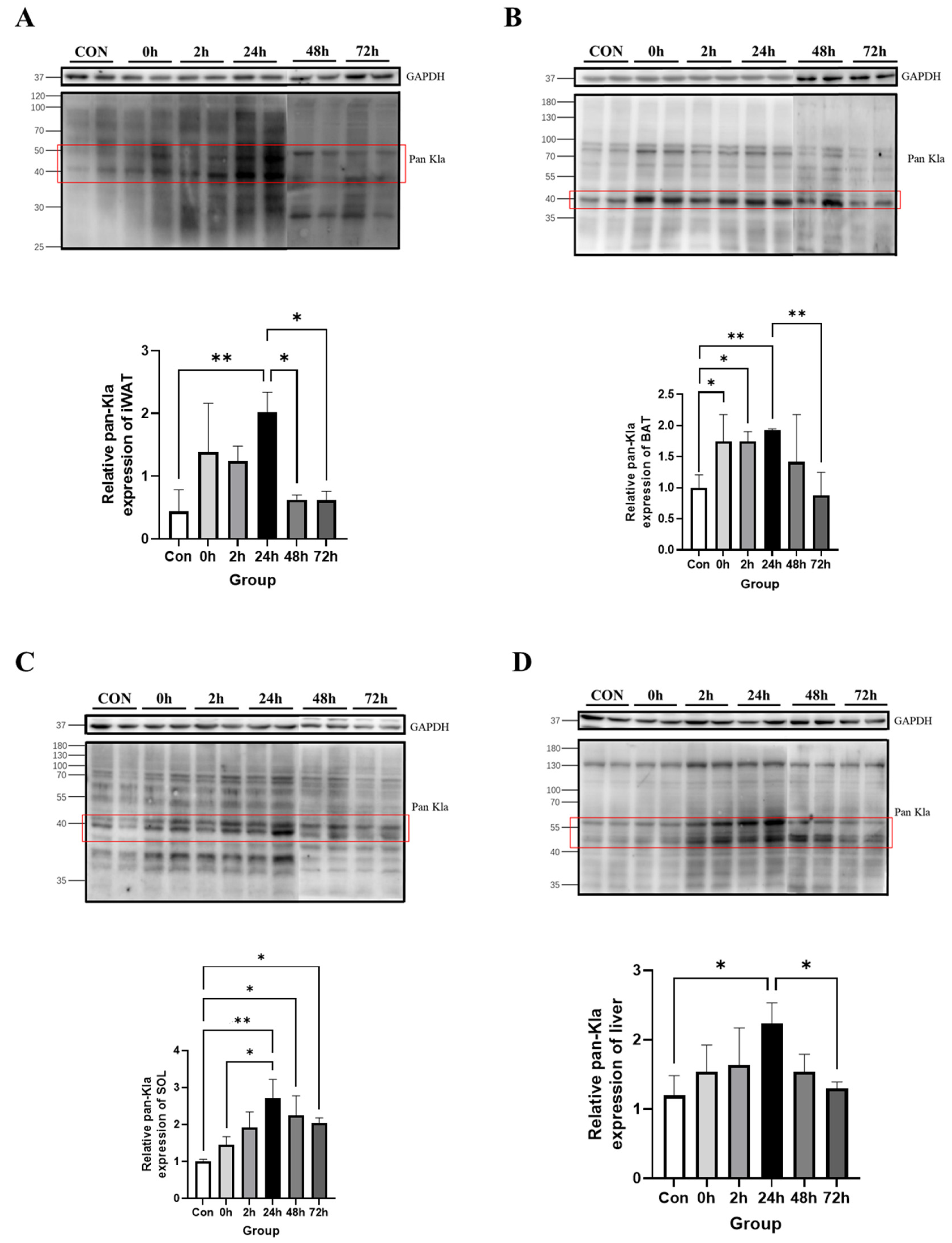 Metabolites 13 00647 g005 Metabolites 13 00647 g005