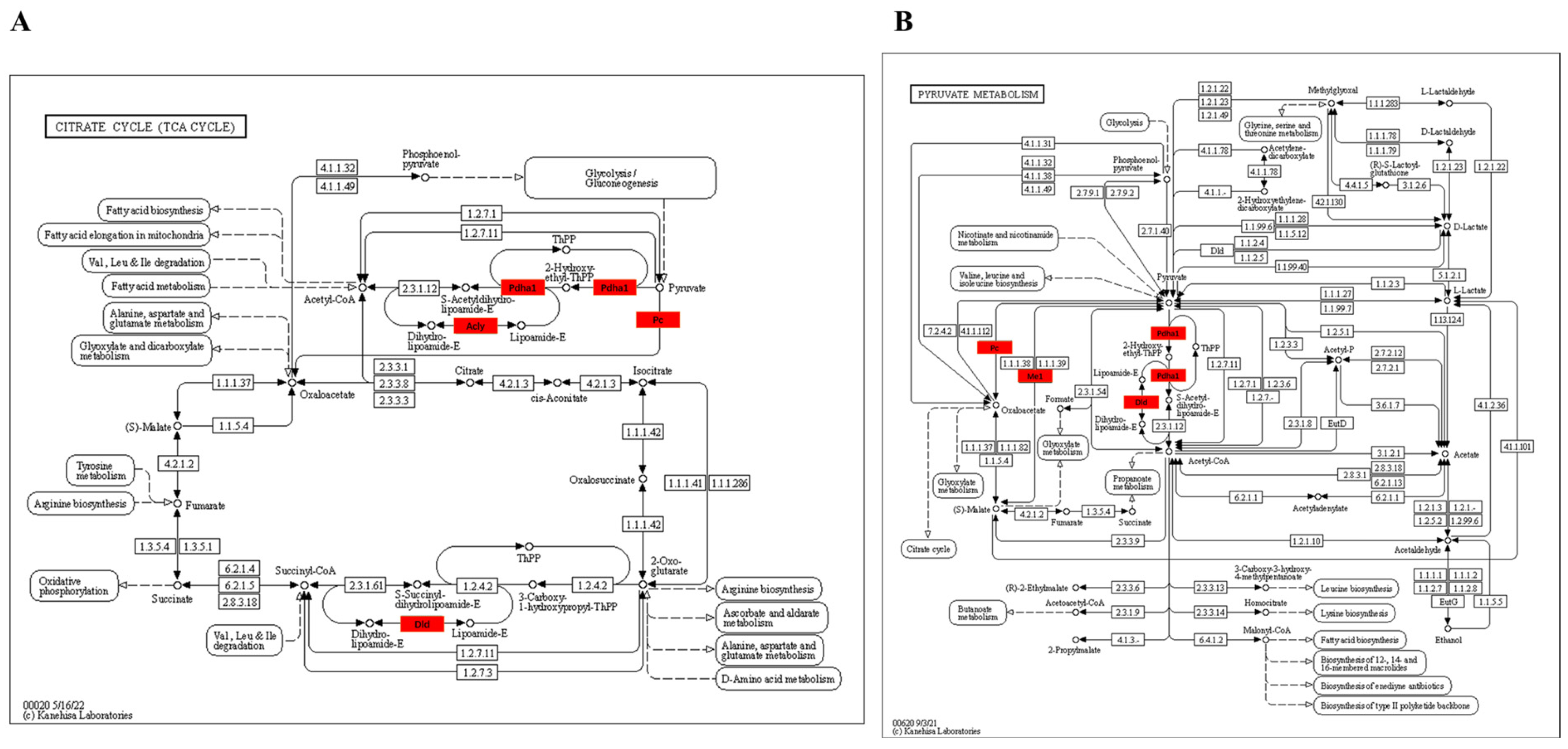 Metabolites 13 00647 g009a Metabolites 13 00647 g009a