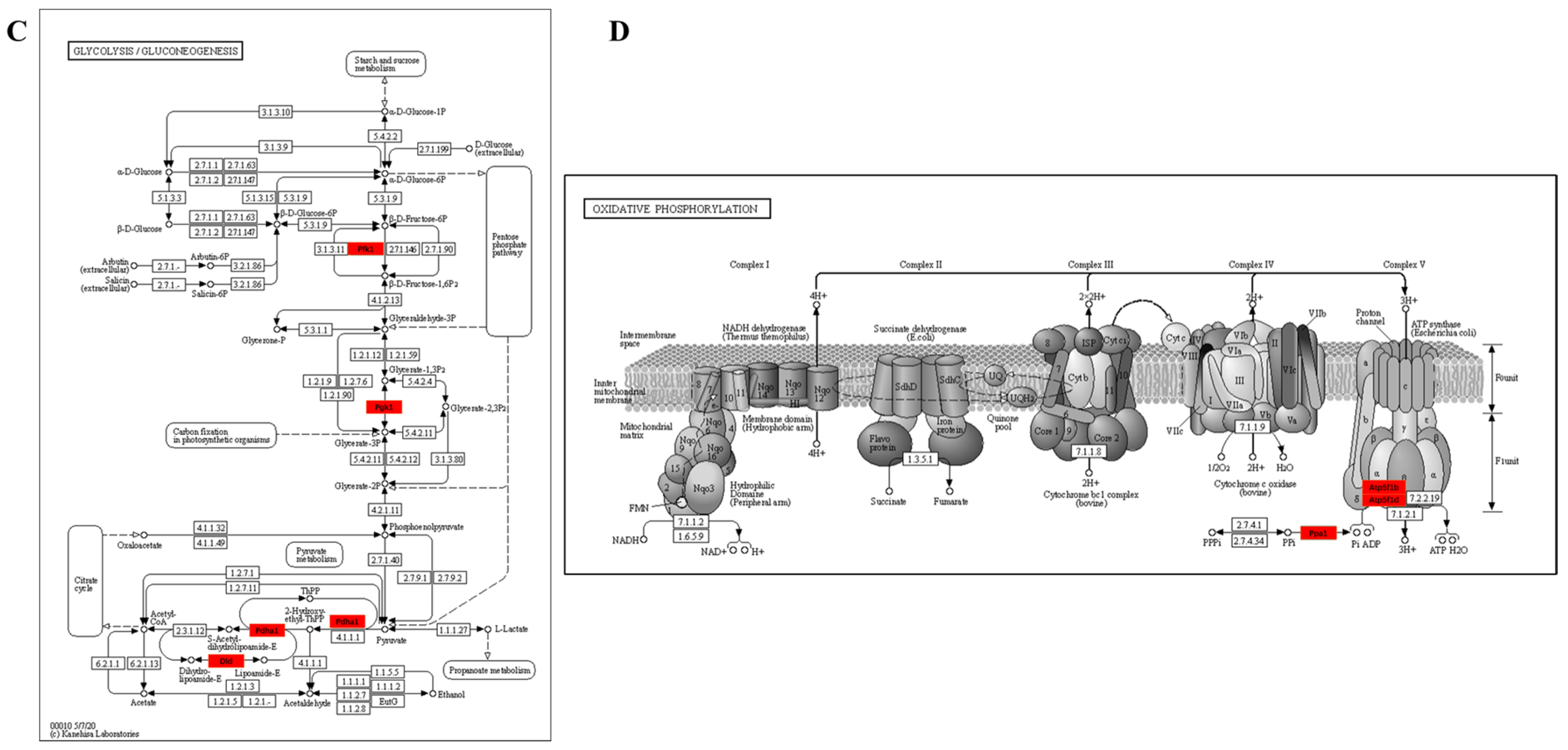 Metabolites 13 00647 g009b Metabolites 13 00647 g009b