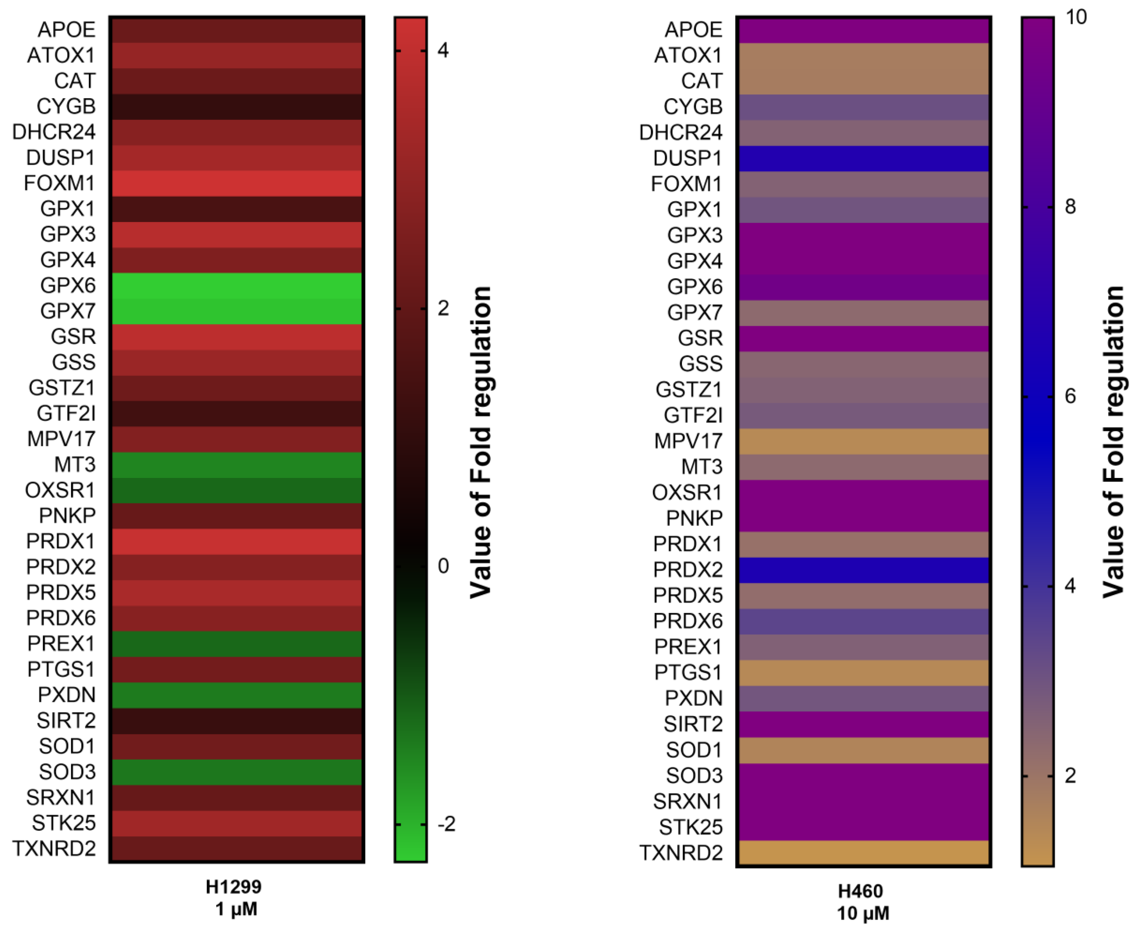 Metabolites 13 00656 g002 Metabolites 13 00656 g002