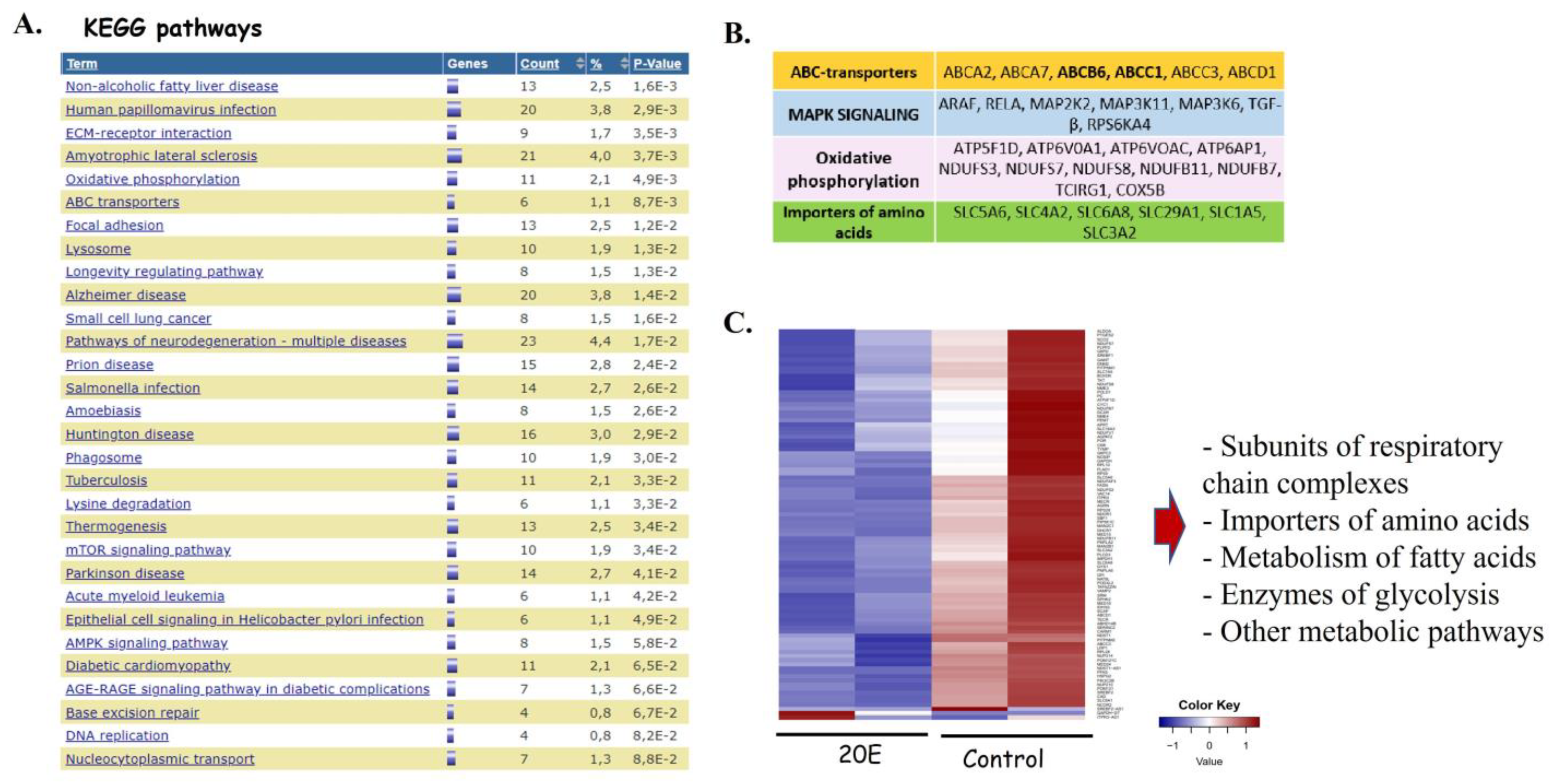 Metabolites 13 00656 g004 Metabolites 13 00656 g004
