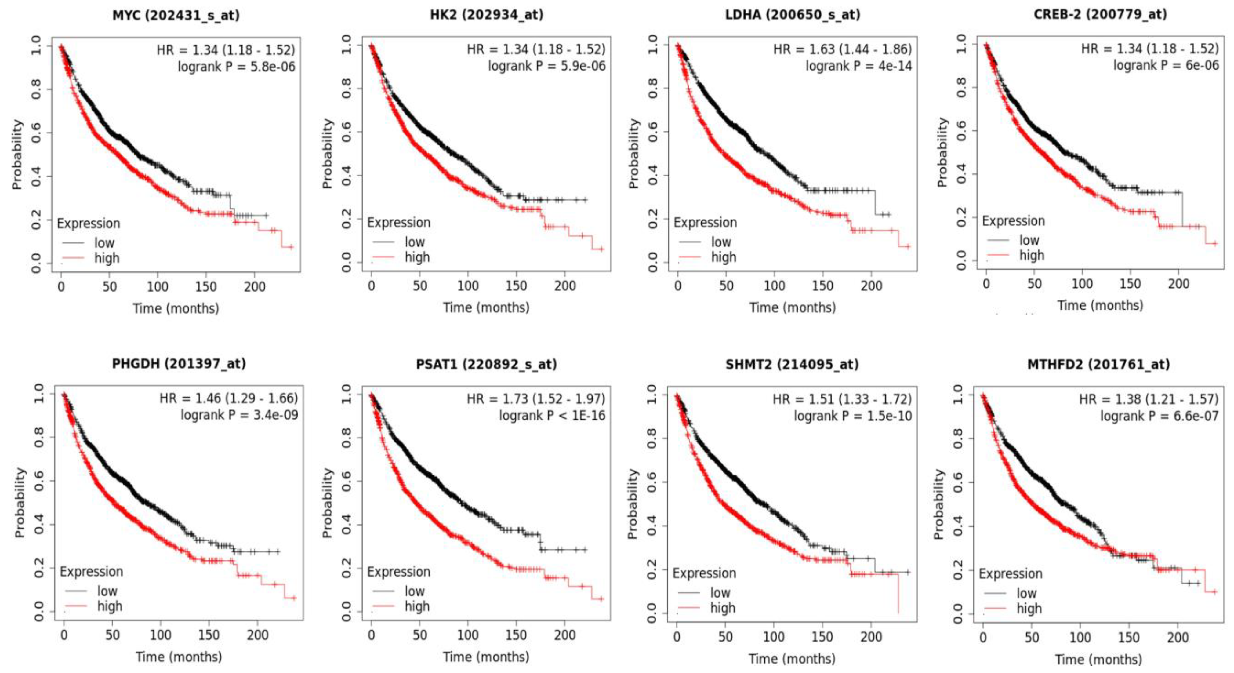 Metabolites 13 00656 g009 Metabolites 13 00656 g009