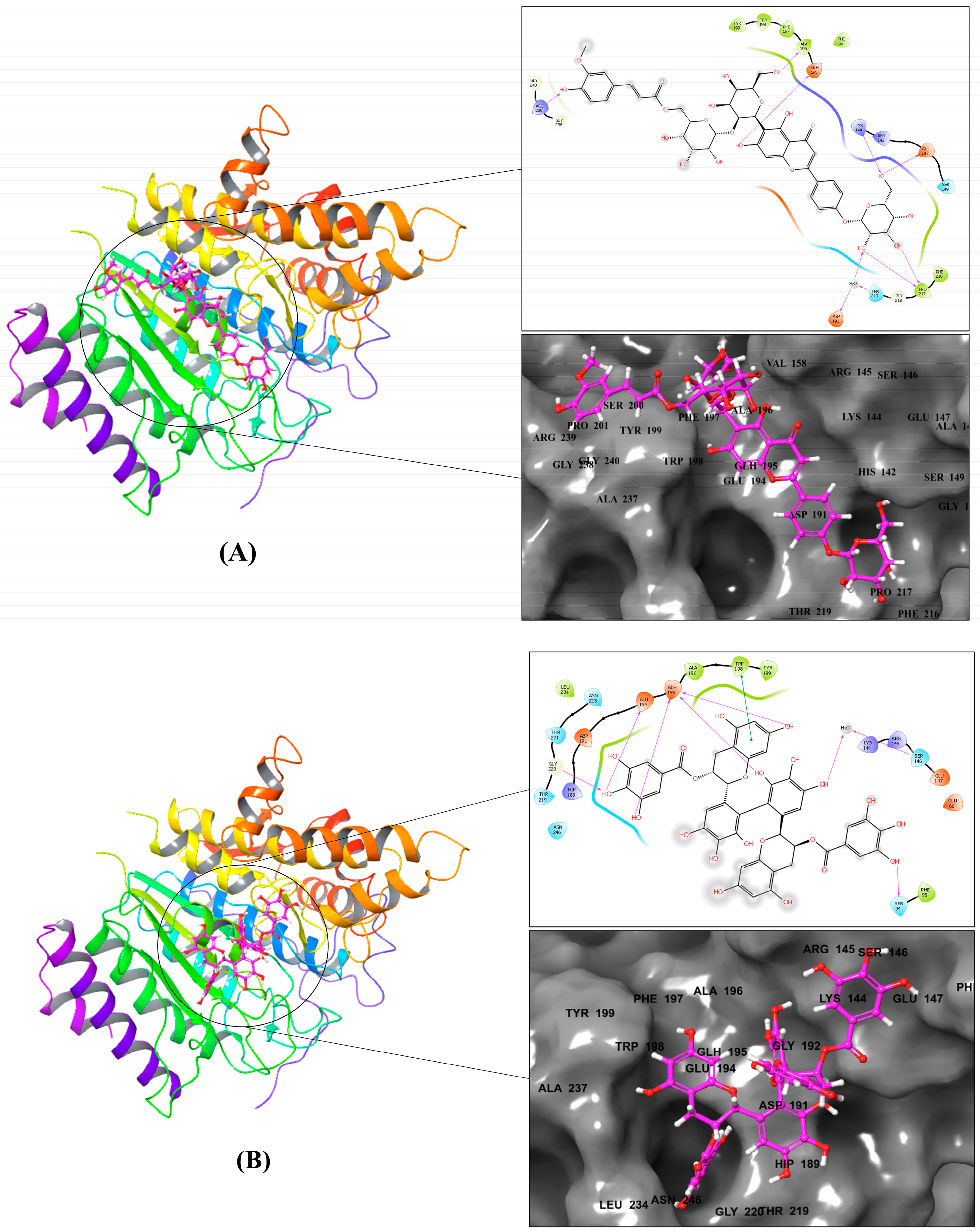 Metabolites 13 00658 g002a Metabolites 13 00658 g002a
