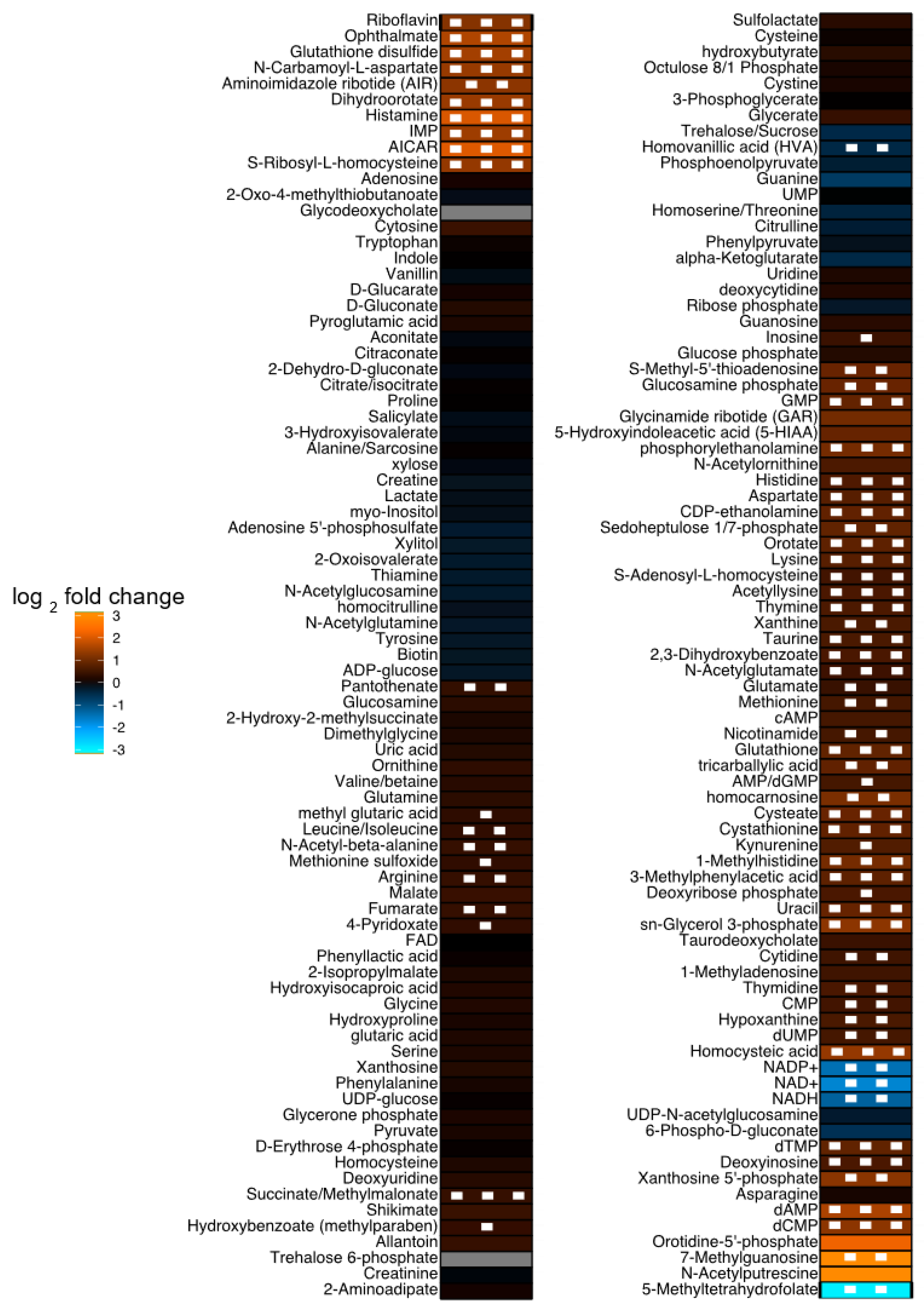 Metabolites 13 00662 g001 Metabolites 13 00662 g001