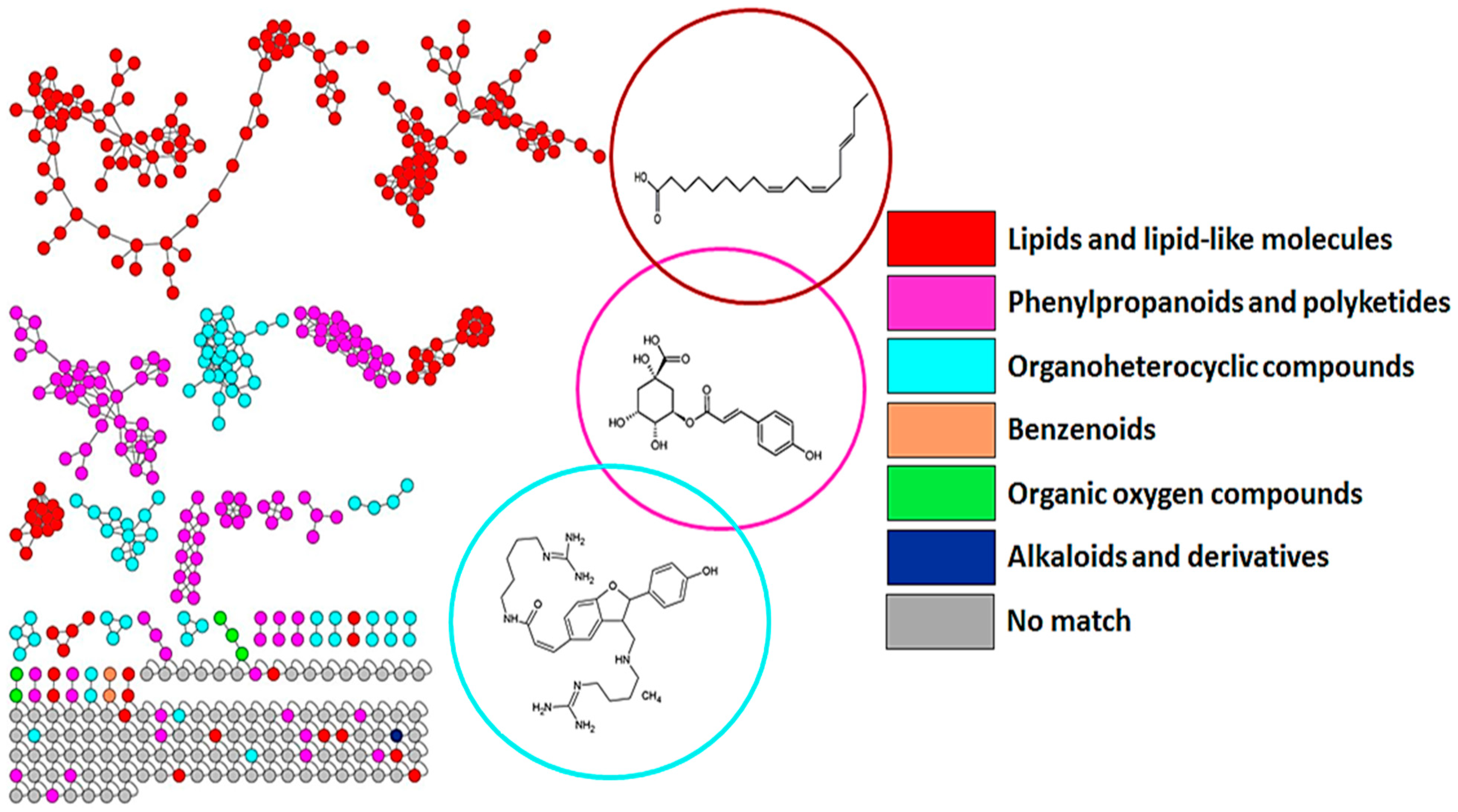 Metabolites 13 00666 g002