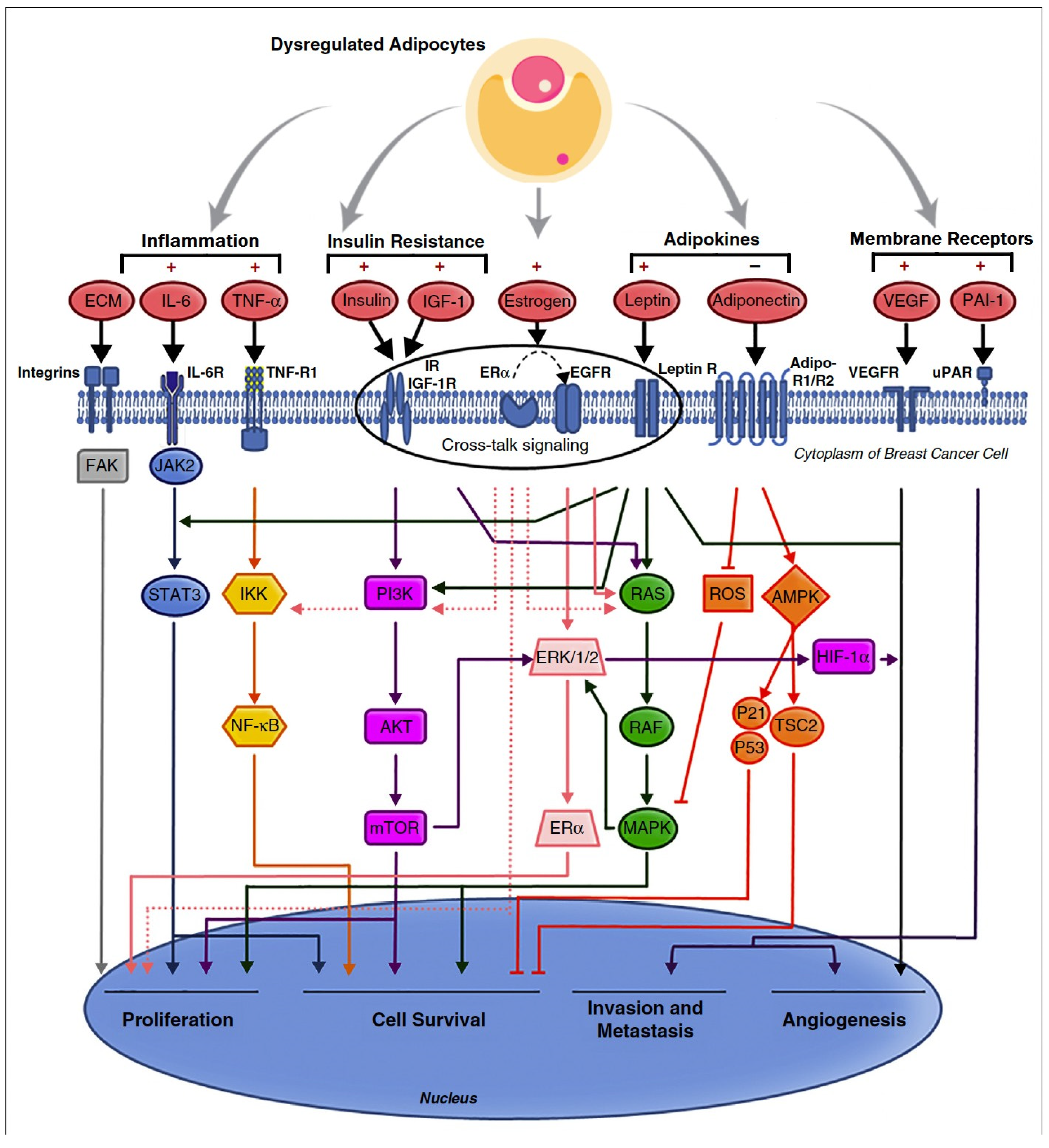 Metabolites 13 00675 g005