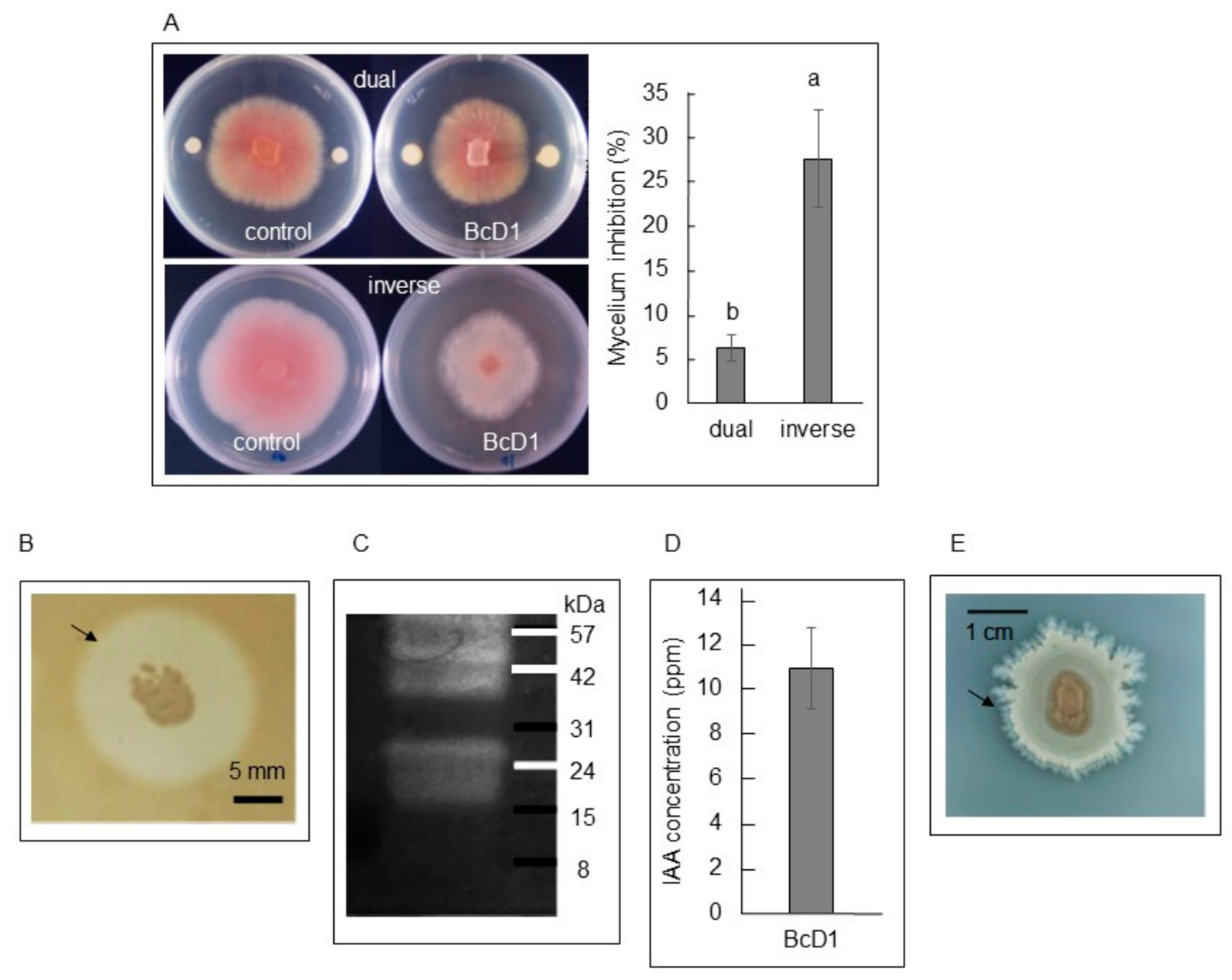 Metabolites 13 00676 g002