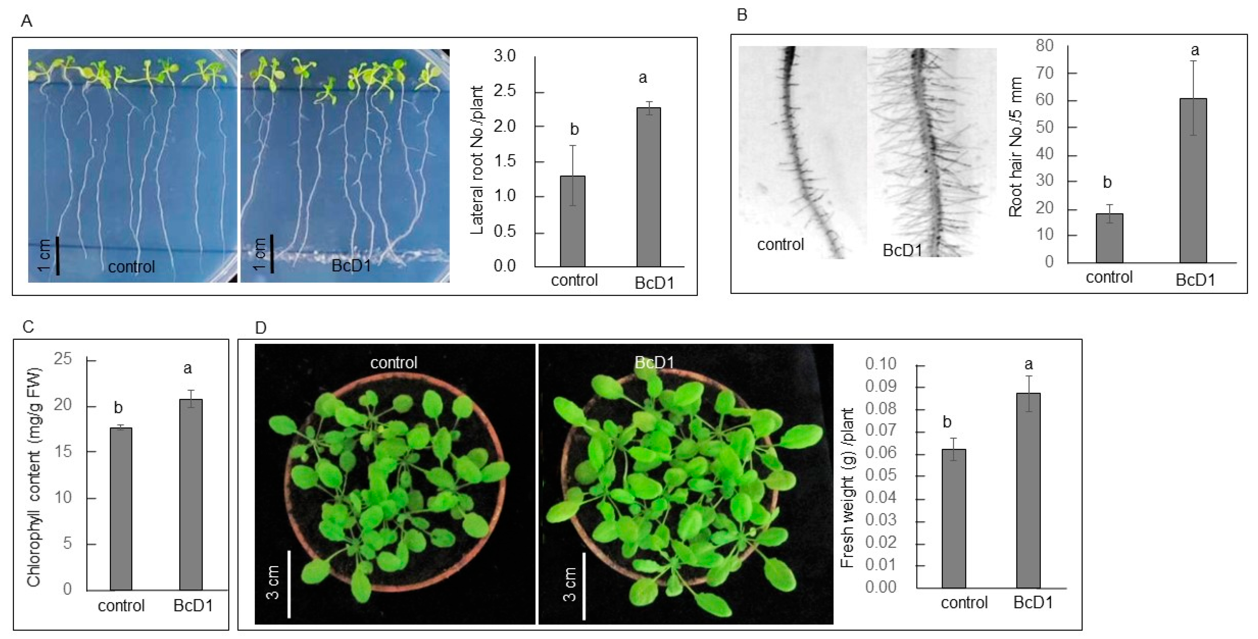 Metabolites 13 00676 g003