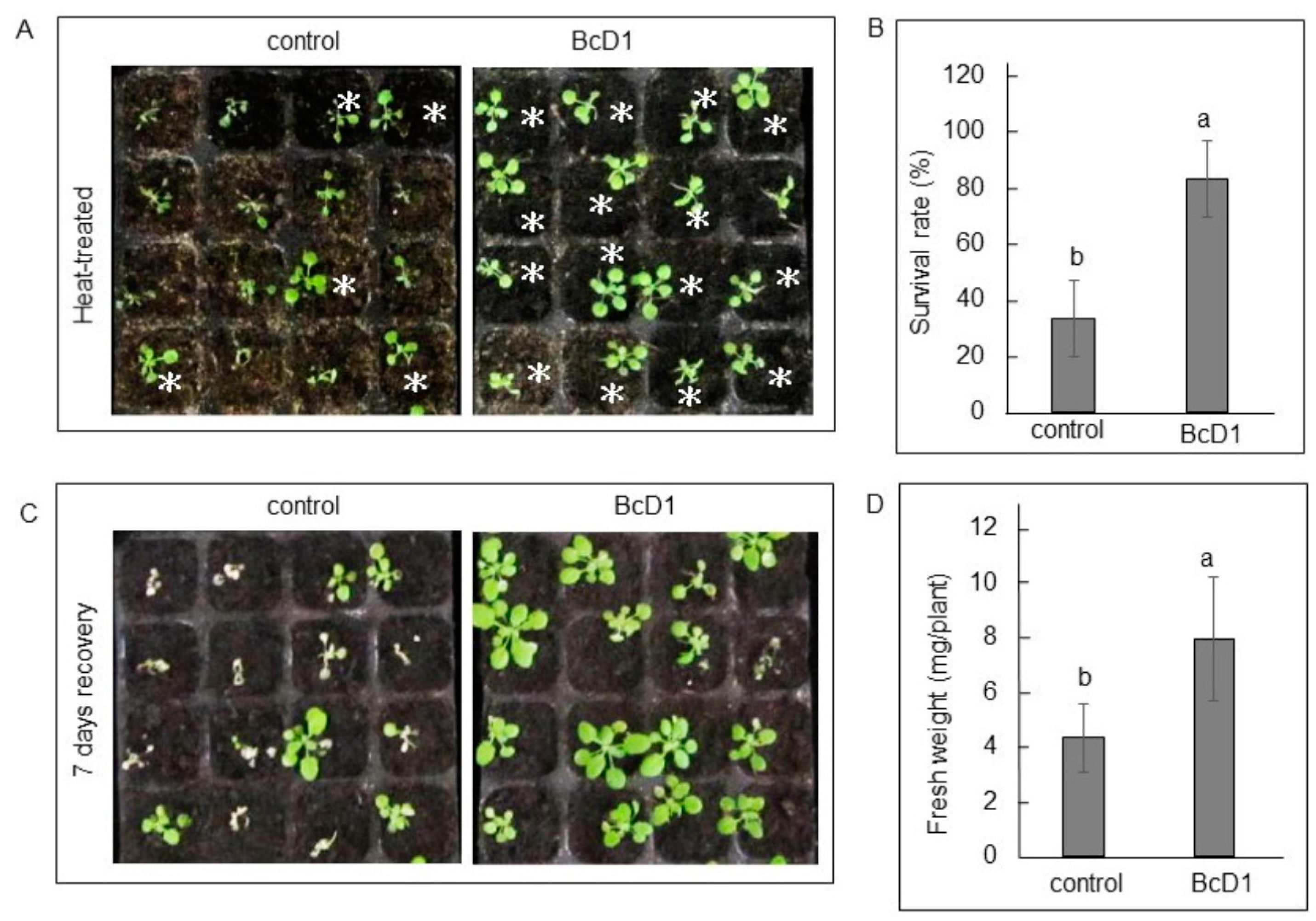 Metabolites 13 00676 g005