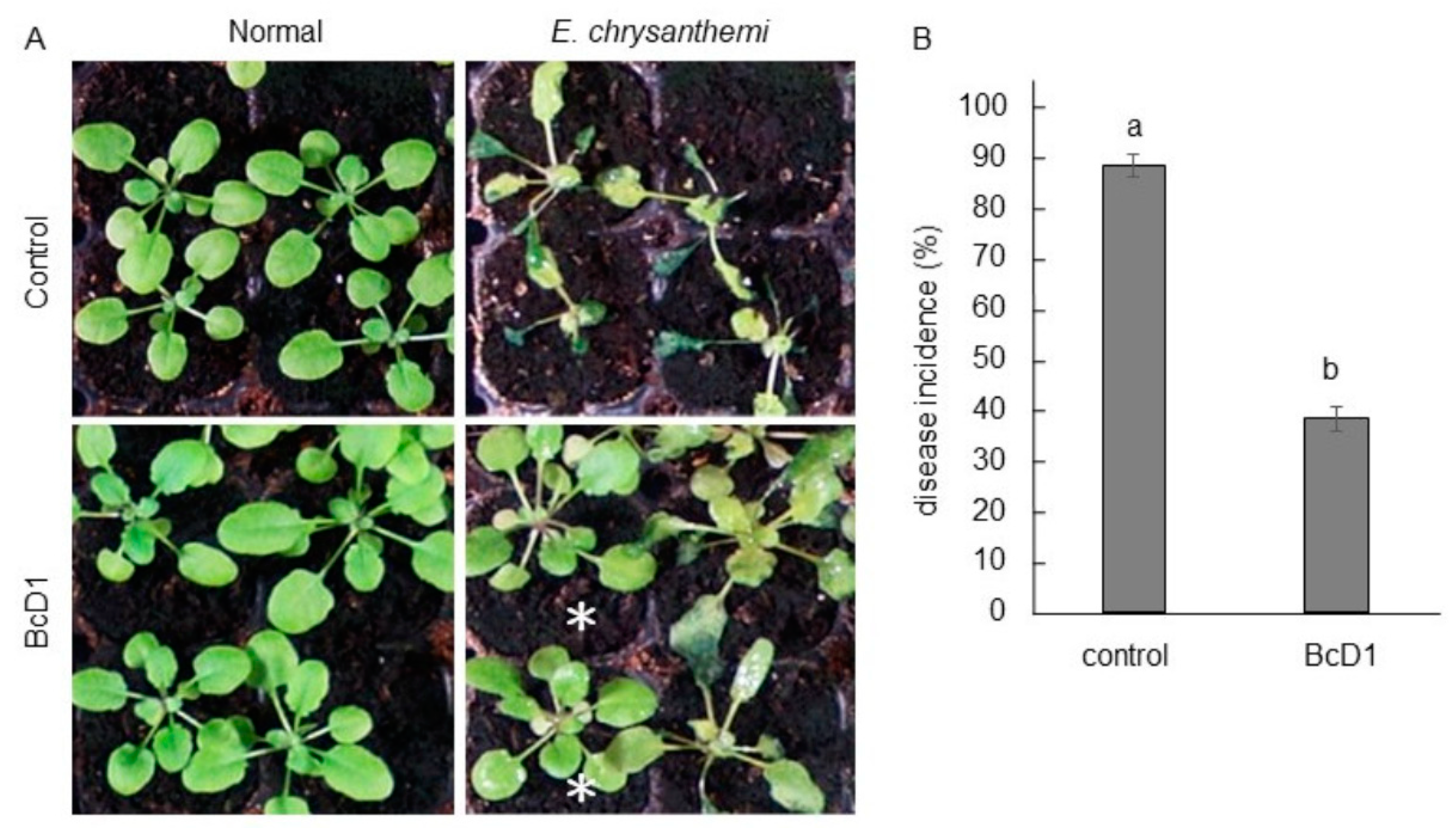 Metabolites 13 00676 g006