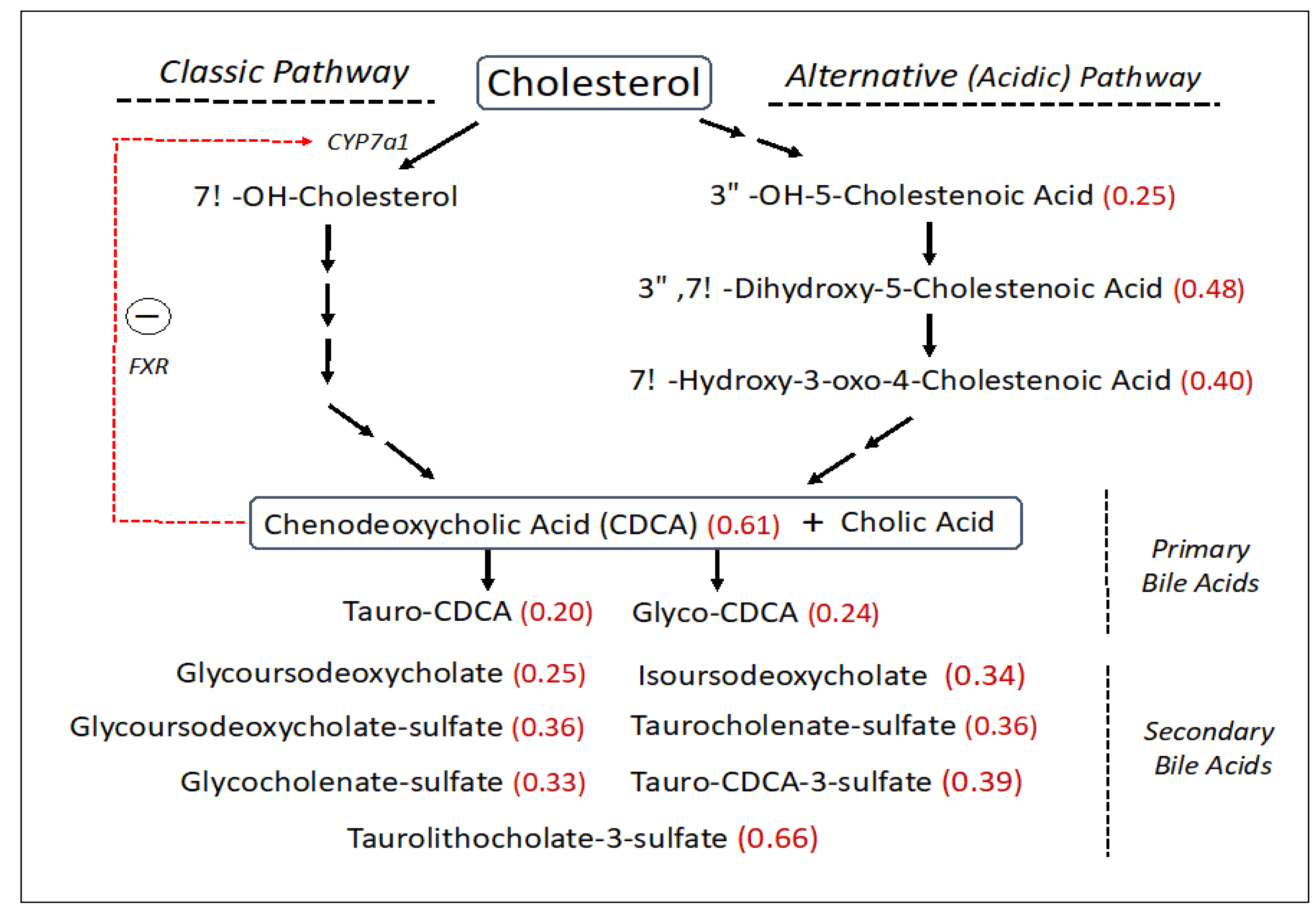 Untargeted Metabolomic Analysis of Sjögren–Larsson Syndrome