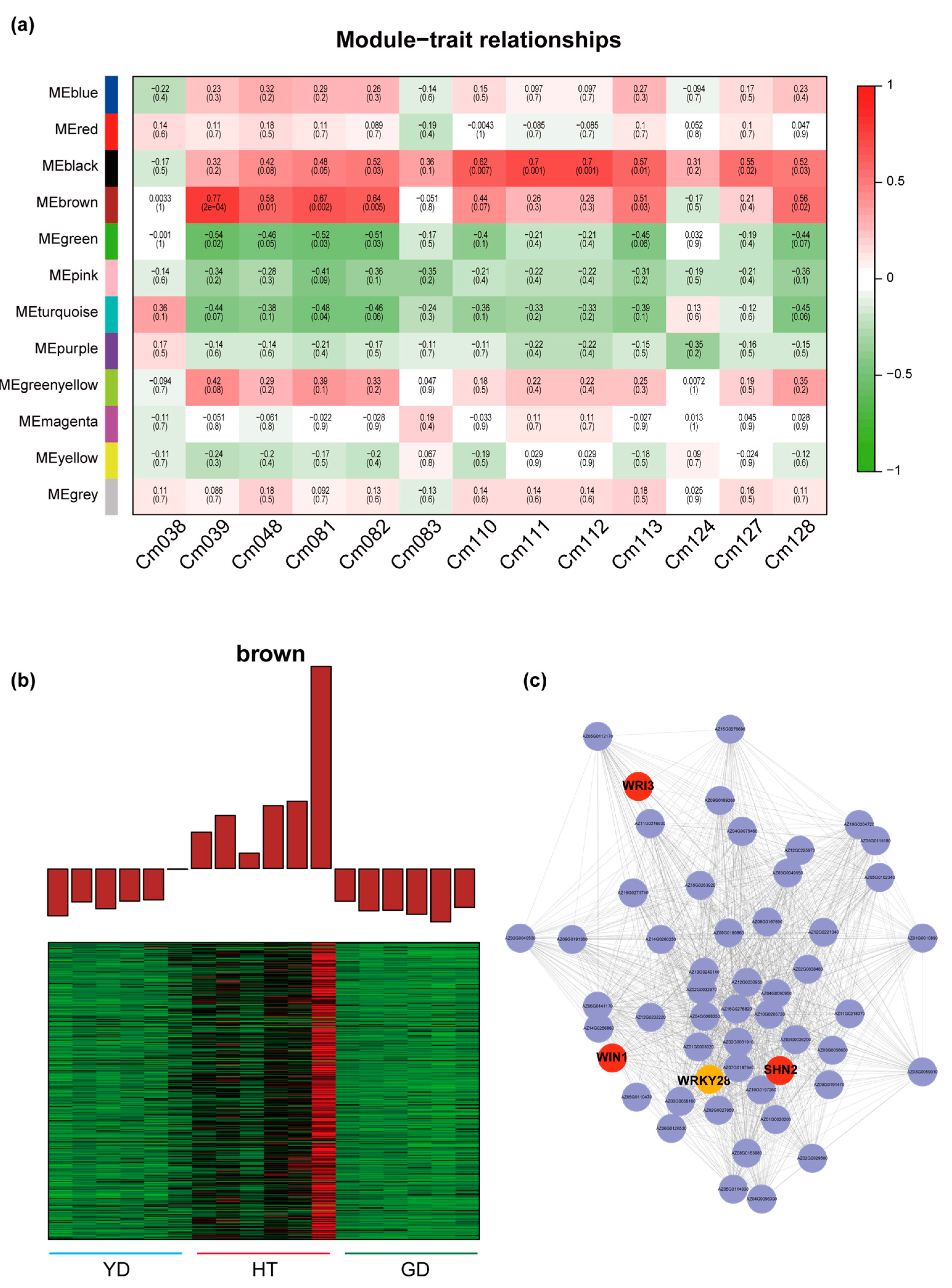 Metabolites 13 00683 g005 Metabolites 13 00683 g005