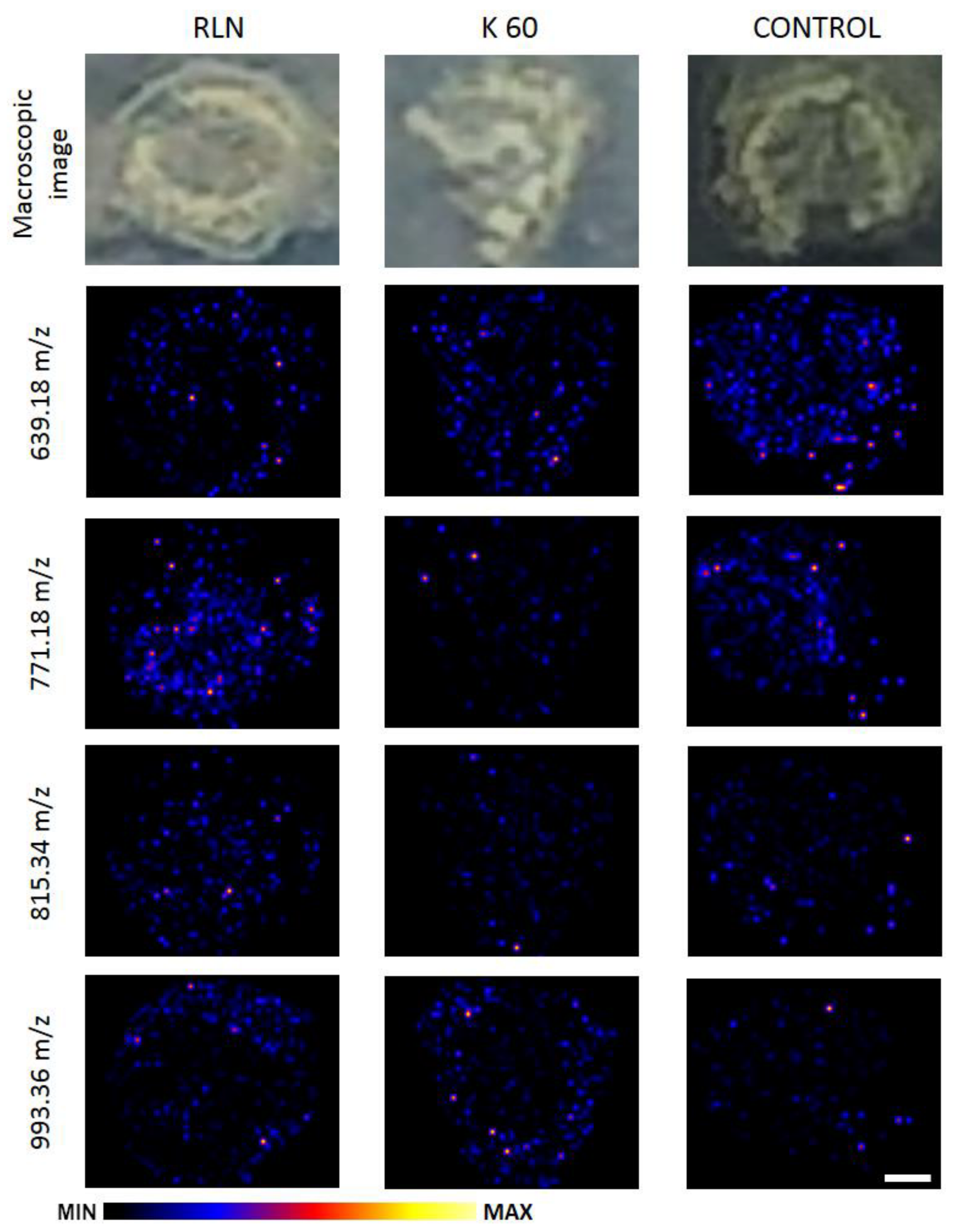 Metabolites 13 00687 g003 Metabolites 13 00687 g003