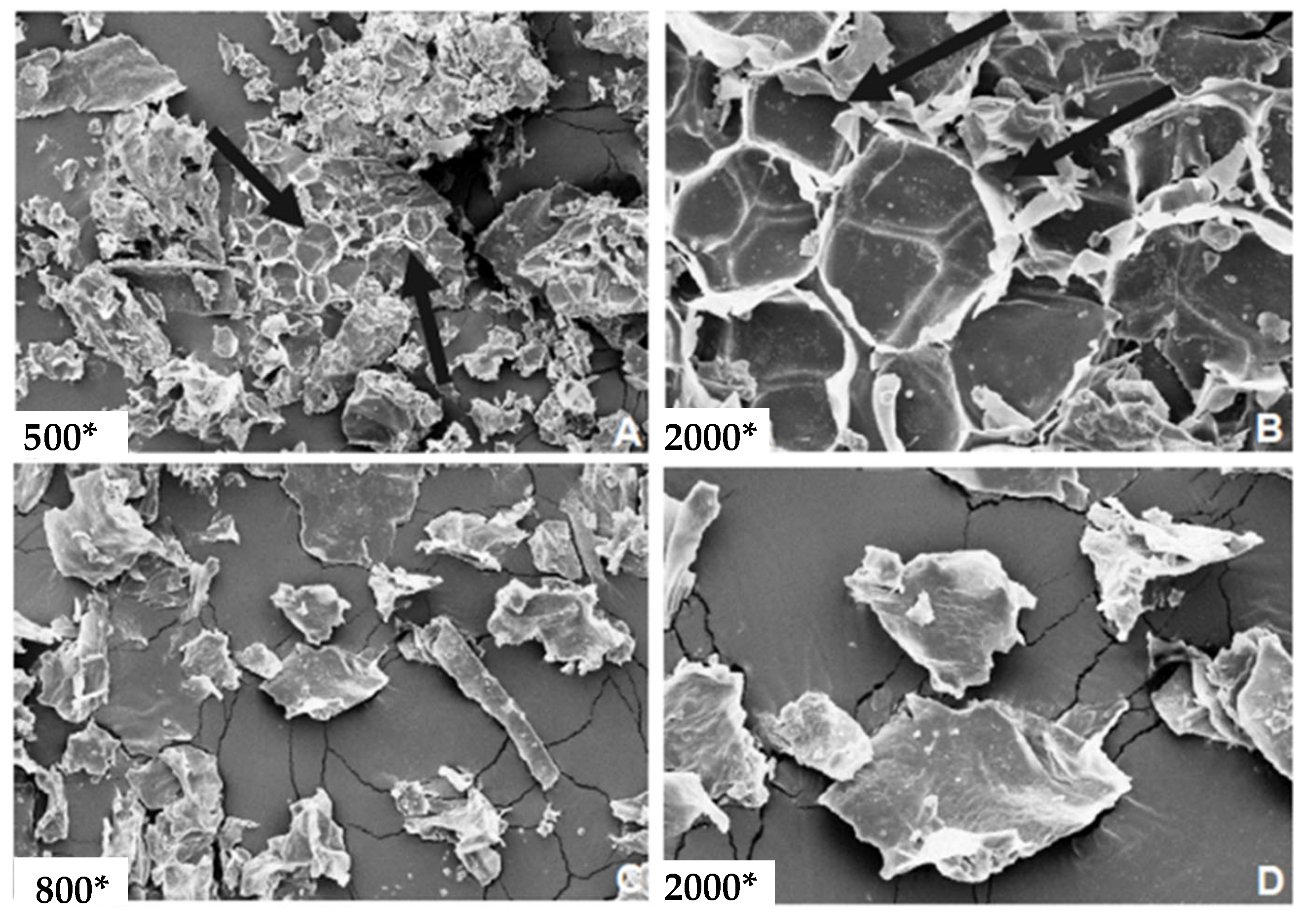 Metabolites 13 00691 g003 Metabolites 13 00691 g003