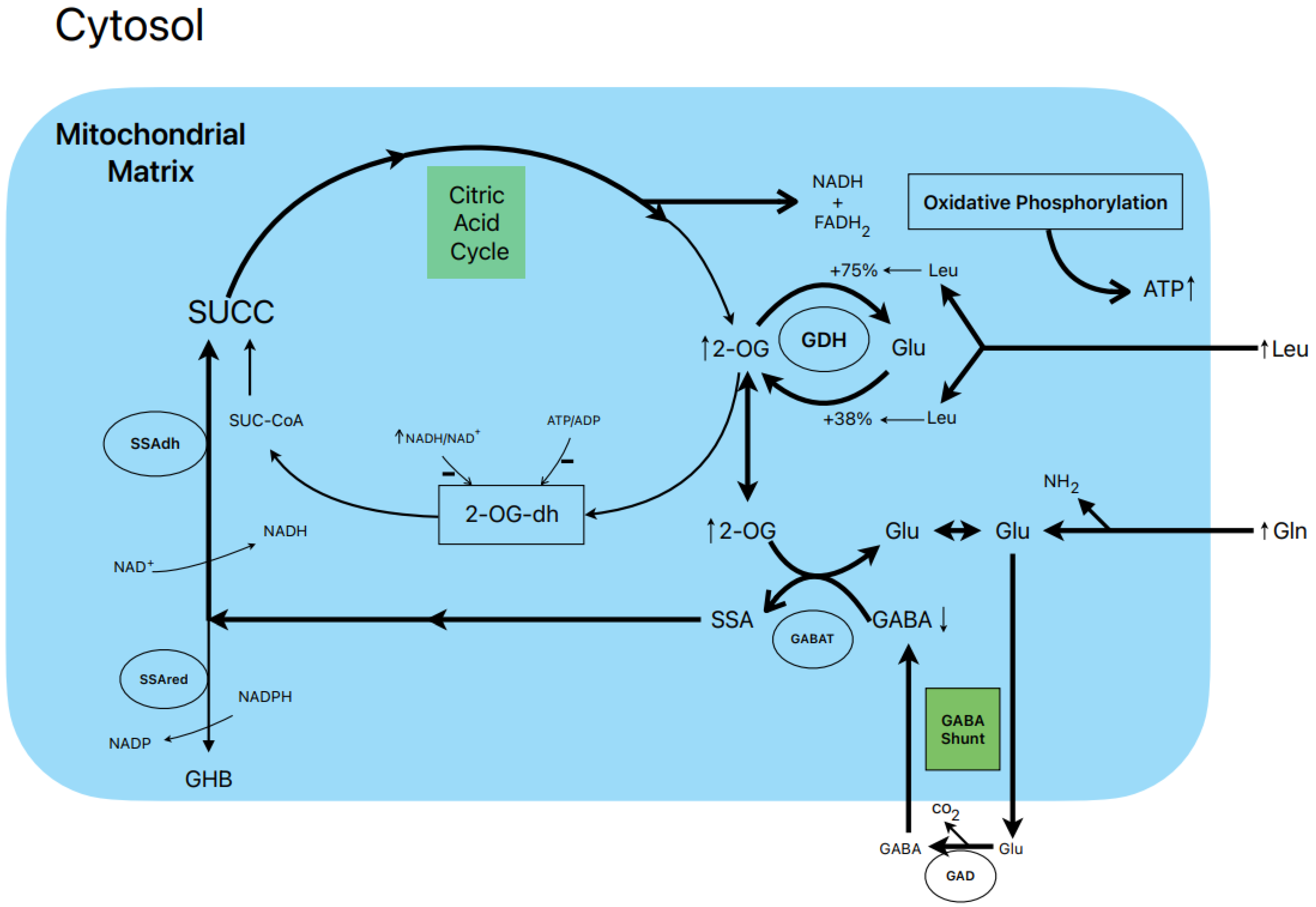 Metabolites 13 00697 g002