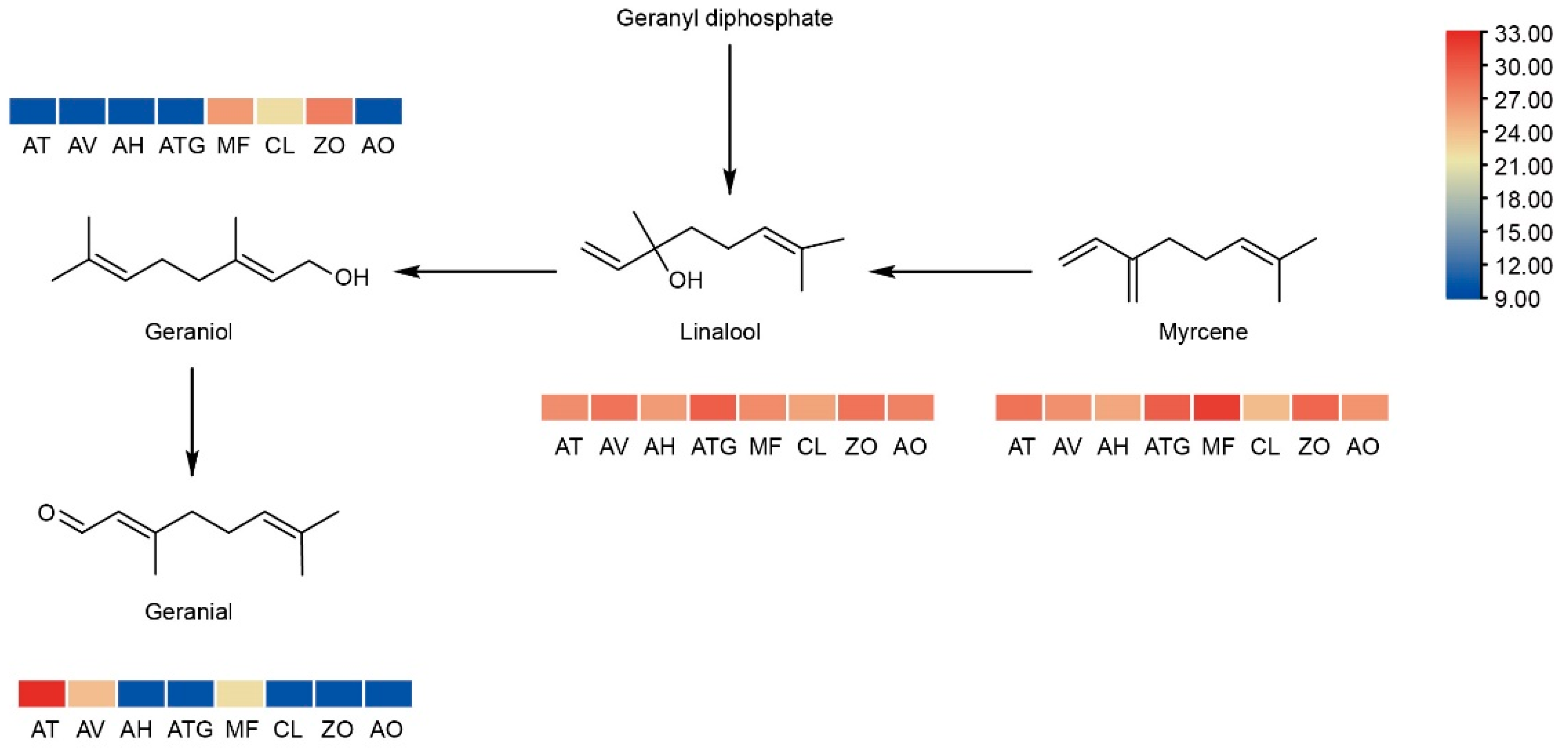 Metabolites 13 00700 g007 Metabolites 13 00700 g007