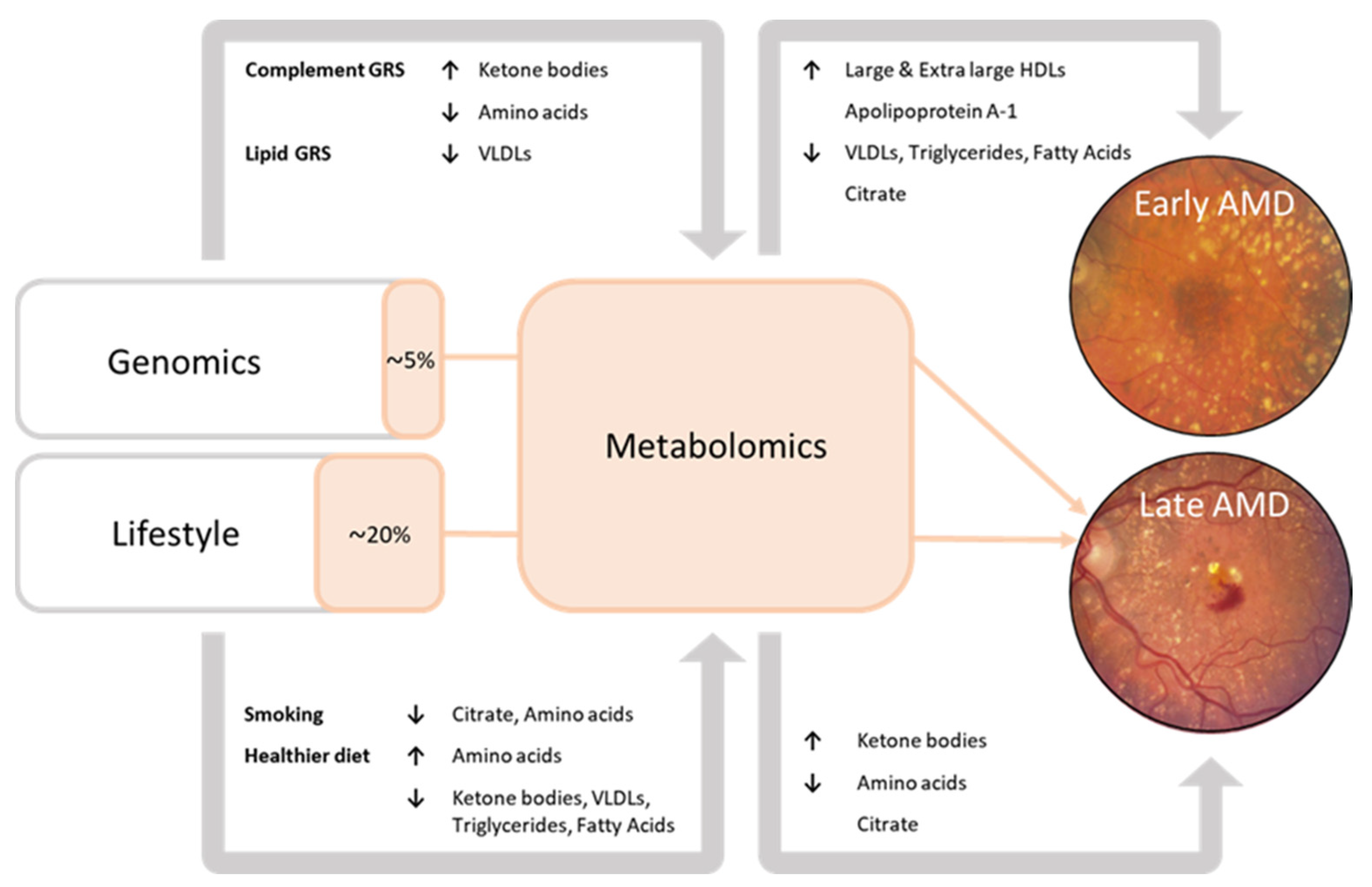 Metabolites 13 00701 g002 Metabolites 13 00701 g002