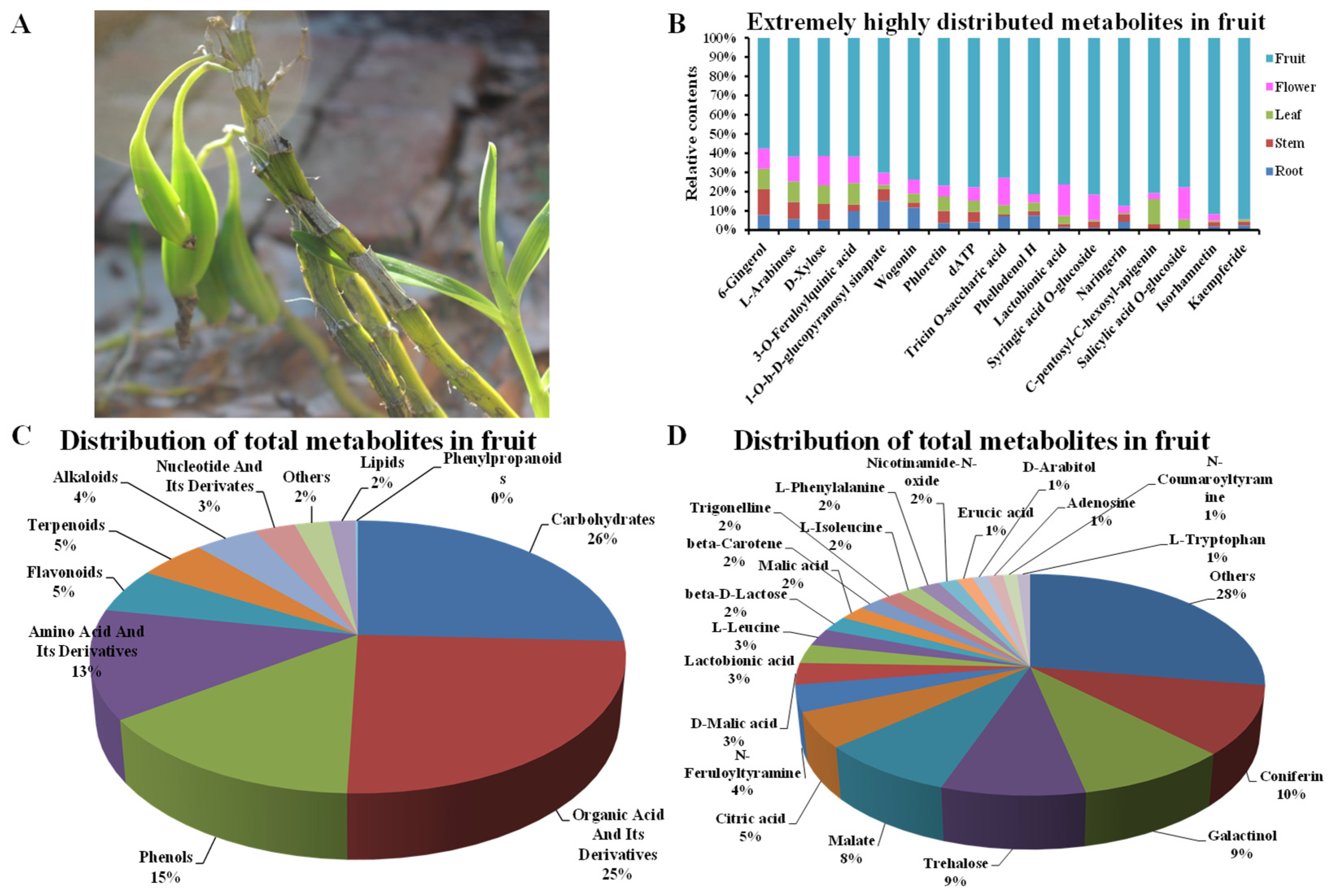 Metabolites 13 00702 g005 Metabolites 13 00702 g005