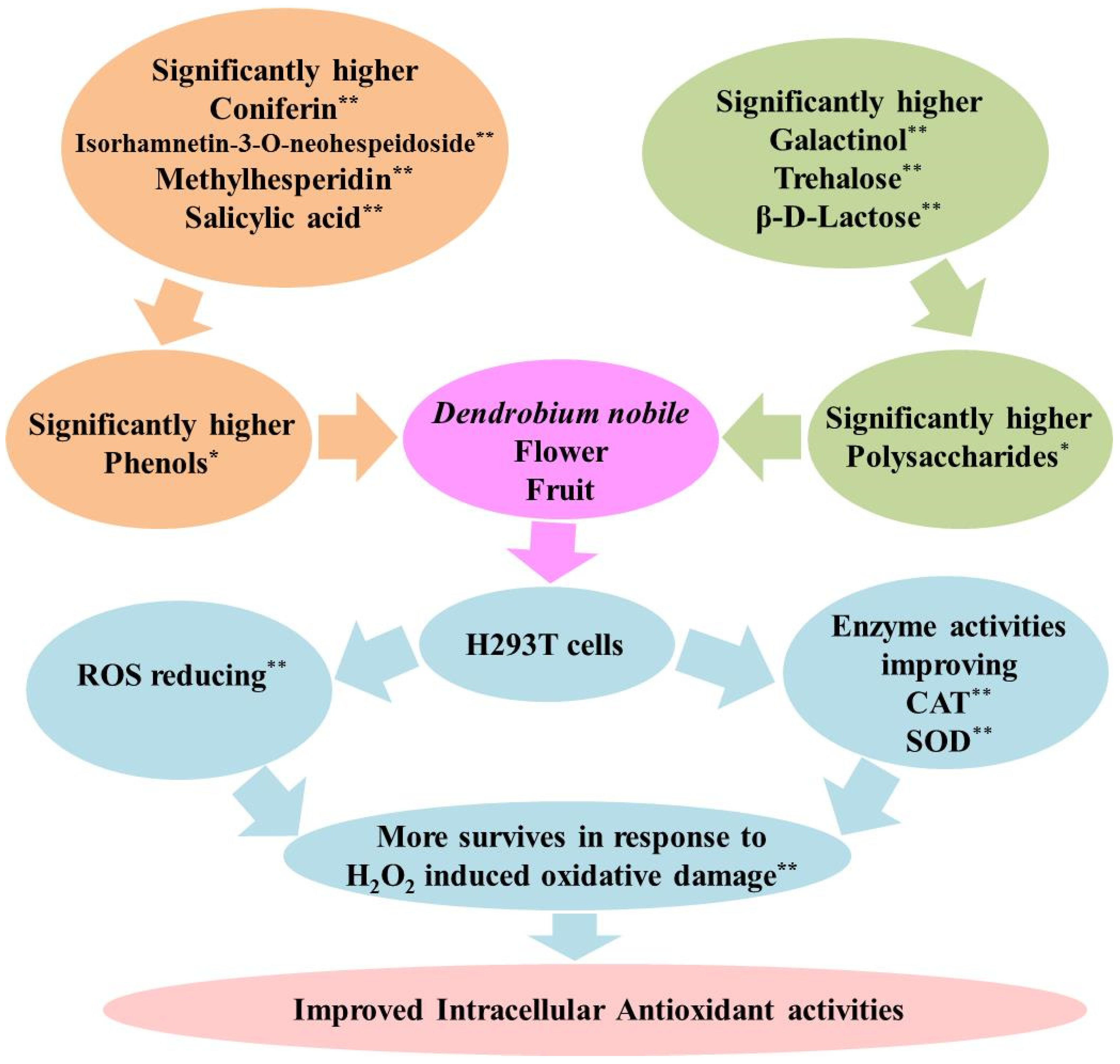 Metabolites 13 00702 g008 Metabolites 13 00702 g008